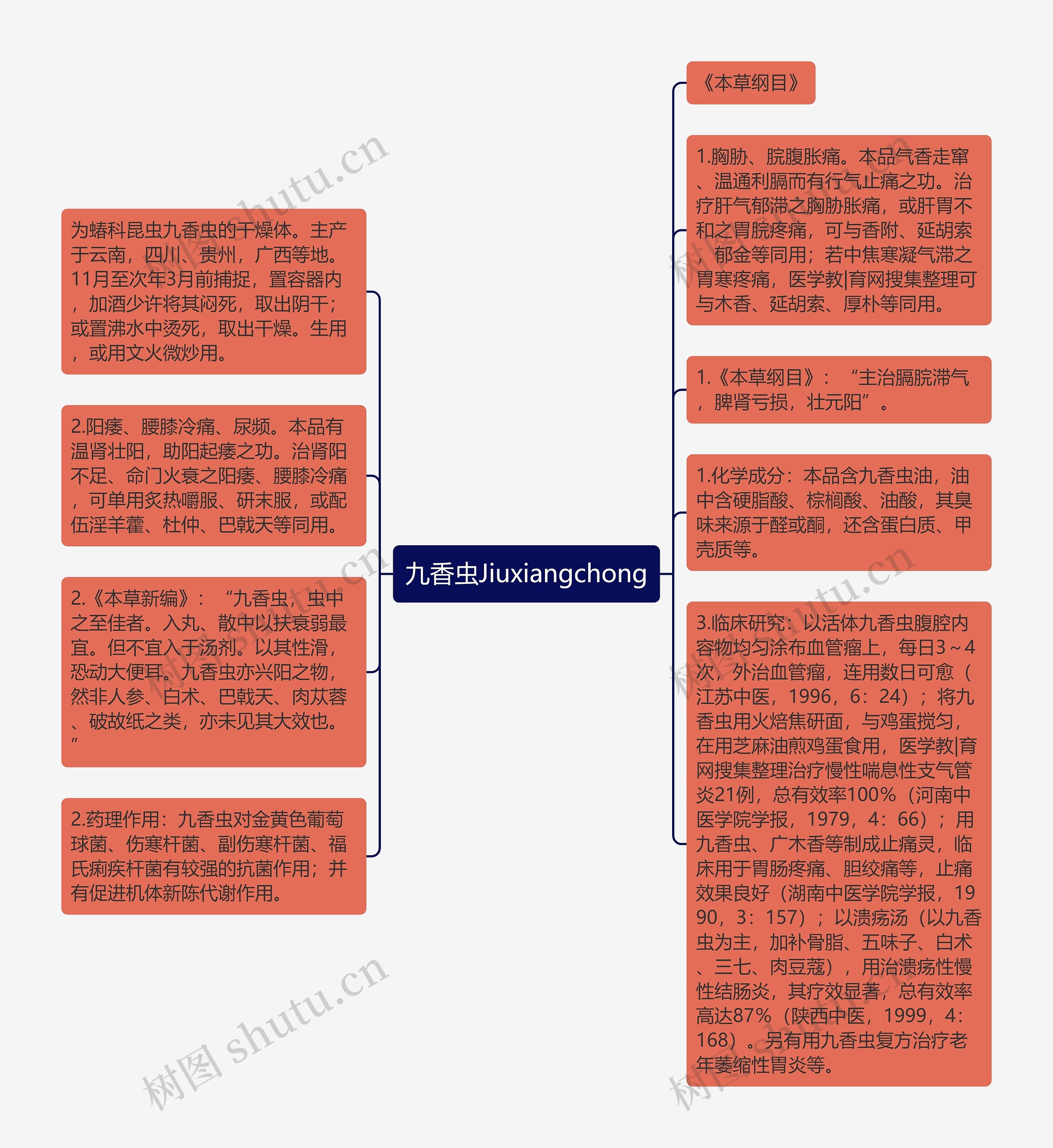 九香虫Jiuxiangchong思维导图