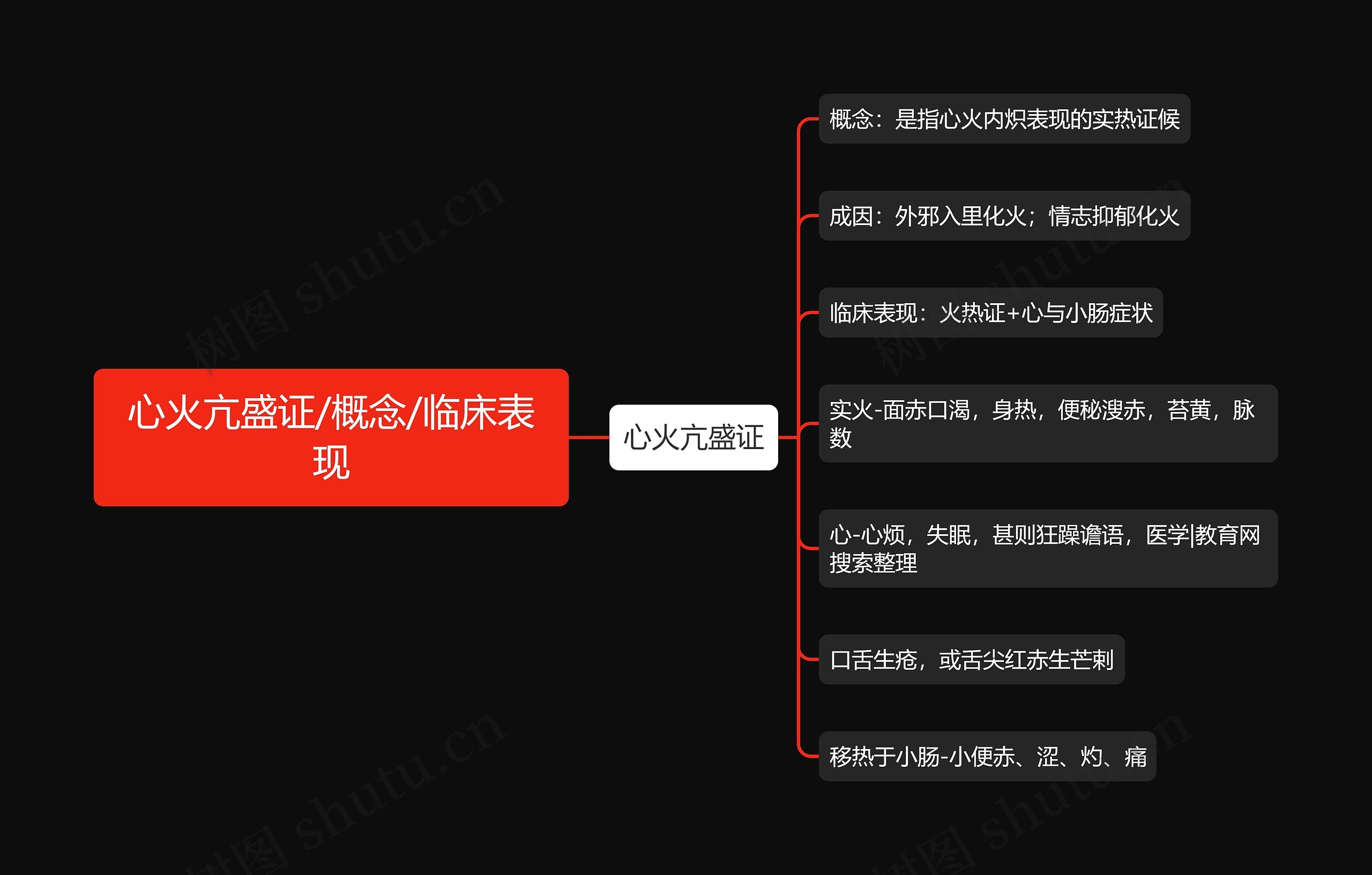 心火亢盛证/概念/临床表现