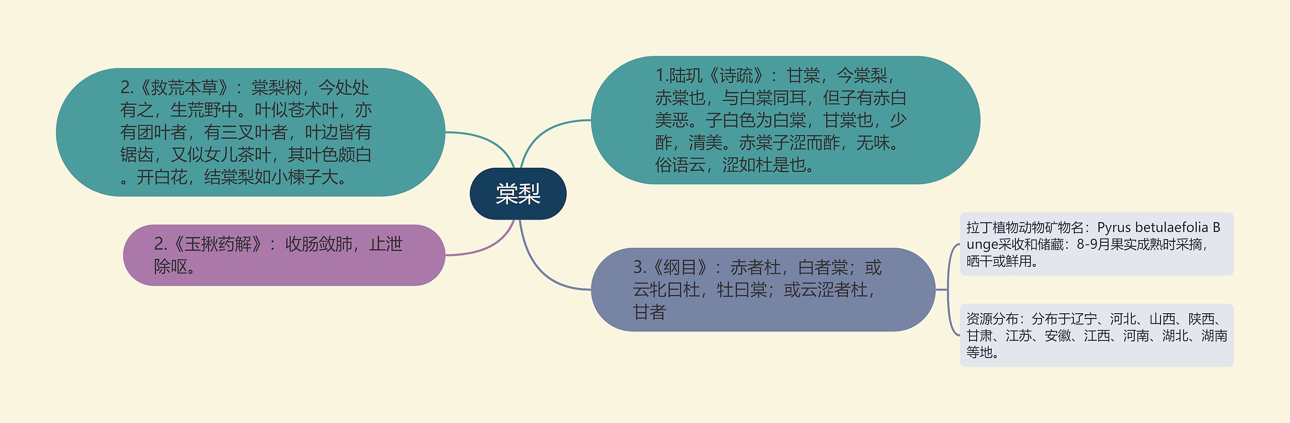 棠梨思维导图