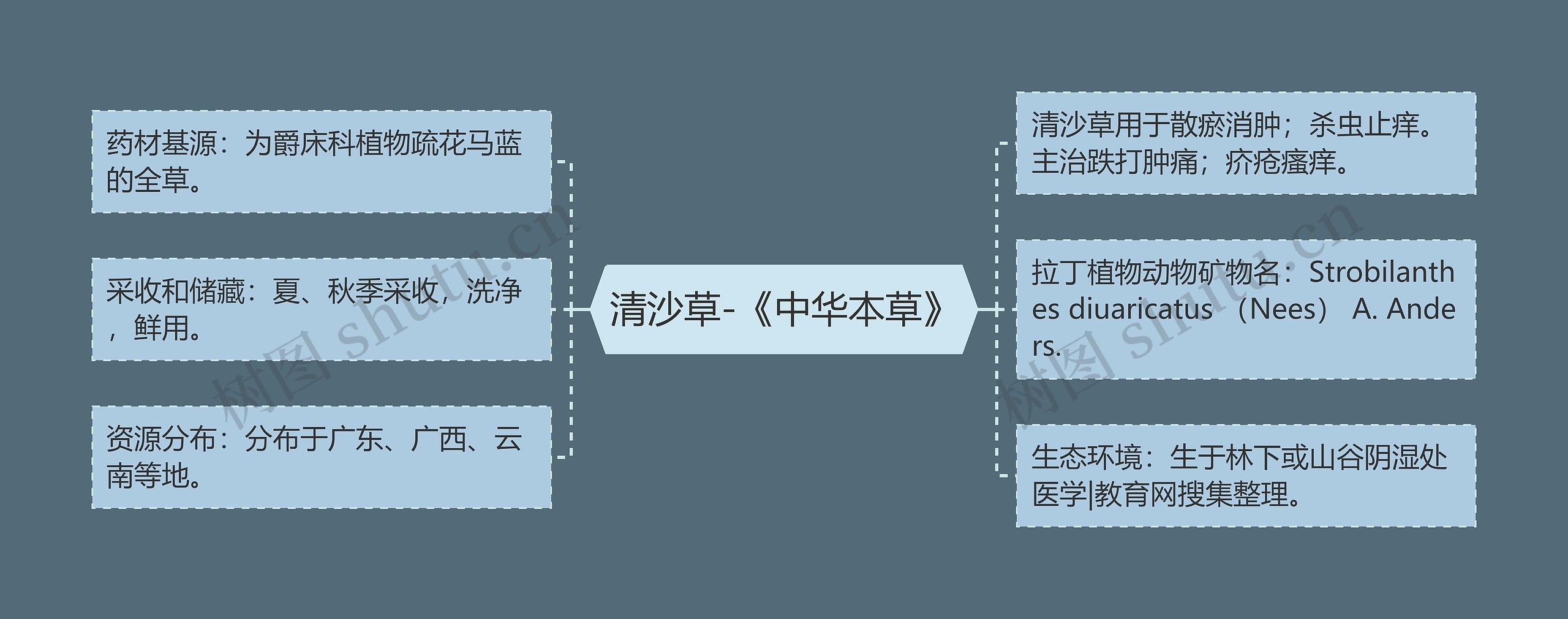 清沙草-《中华本草》思维导图