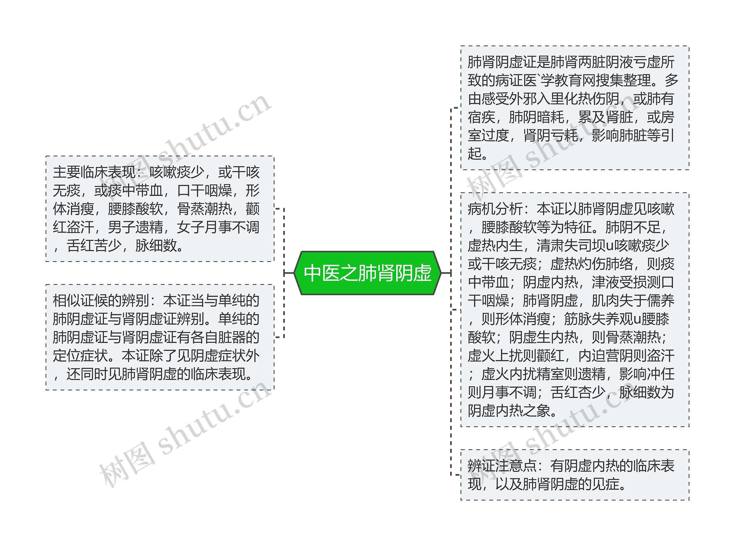 中医之肺肾阴虚思维导图