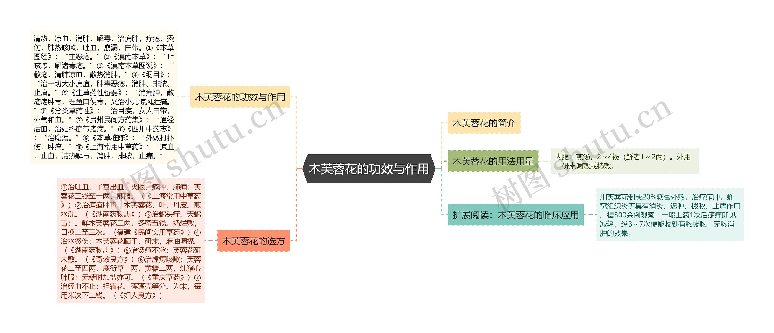 木芙蓉花的功效与作用思维导图