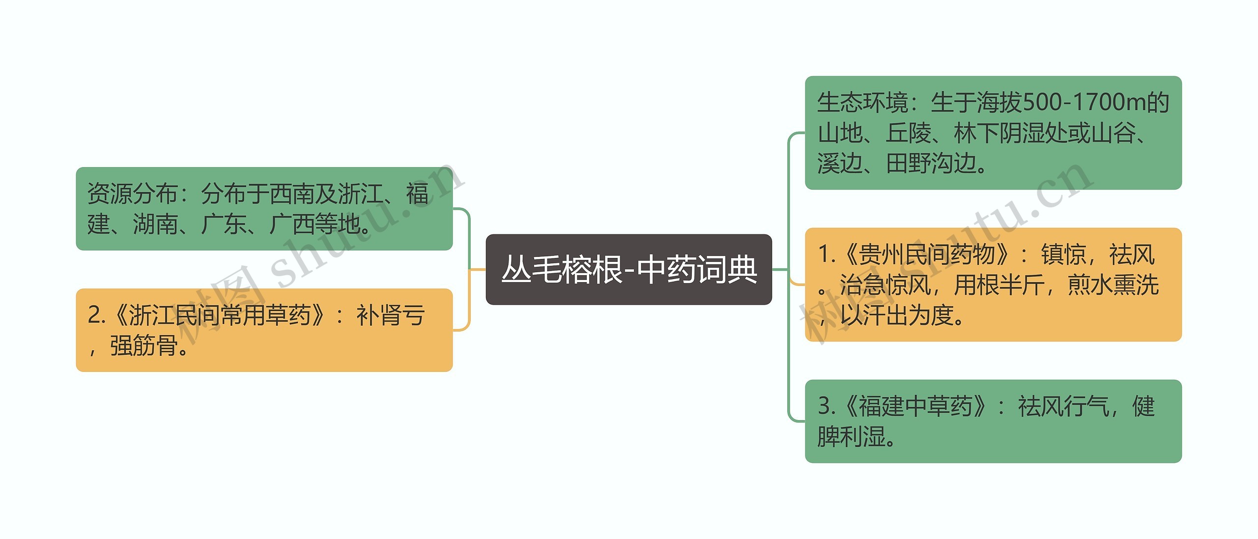 丛毛榕根-中药词典思维导图