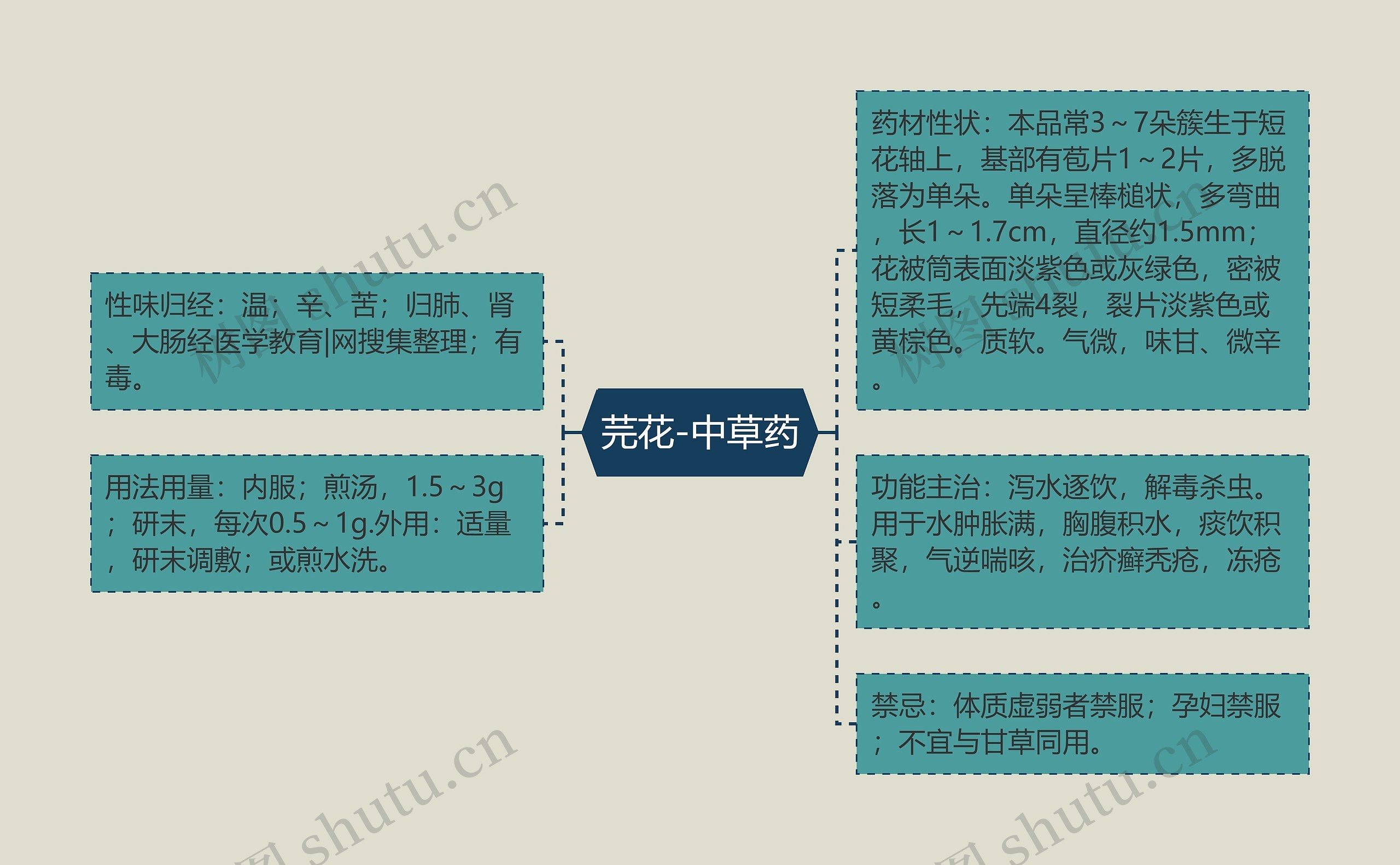 芫花-中草药思维导图