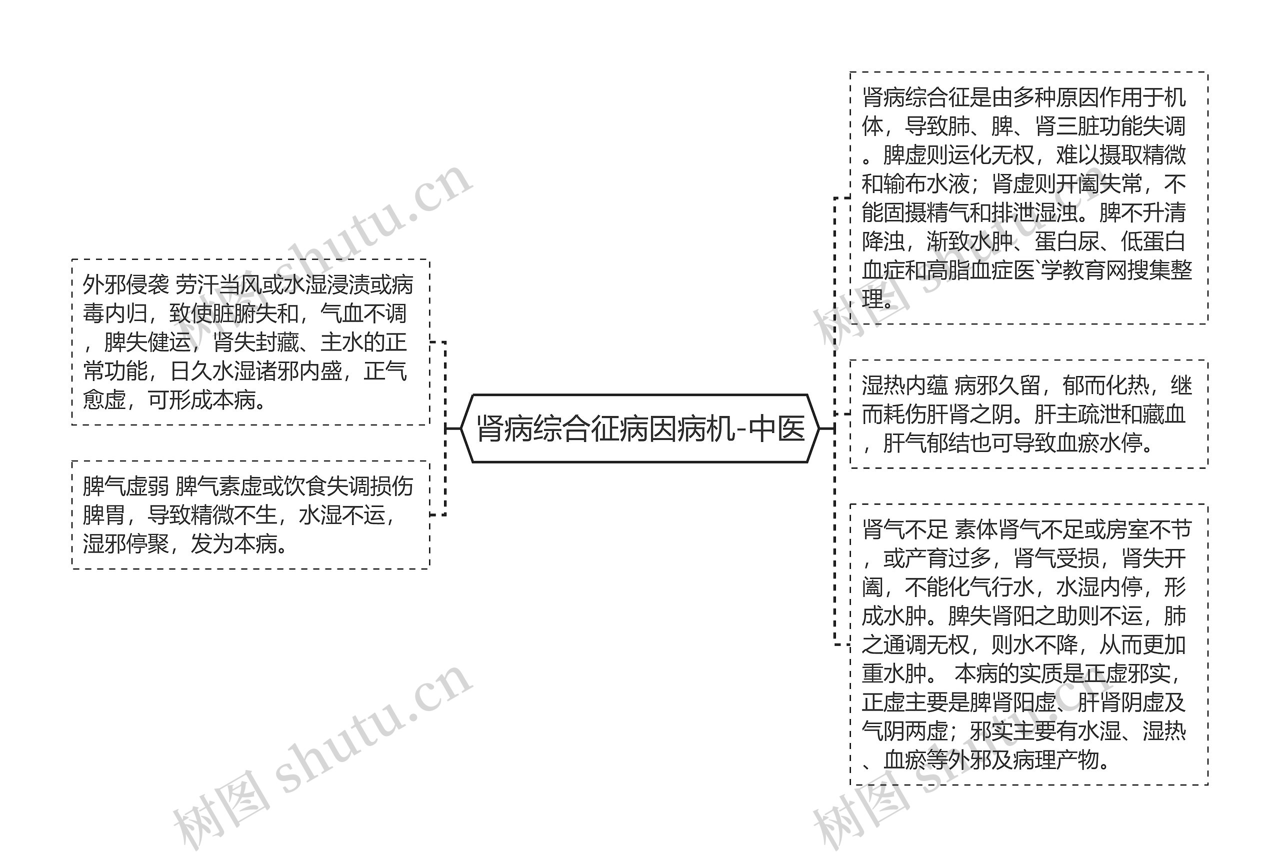 肾病综合征病因病机-中医 肾病综合征病因病机-中医