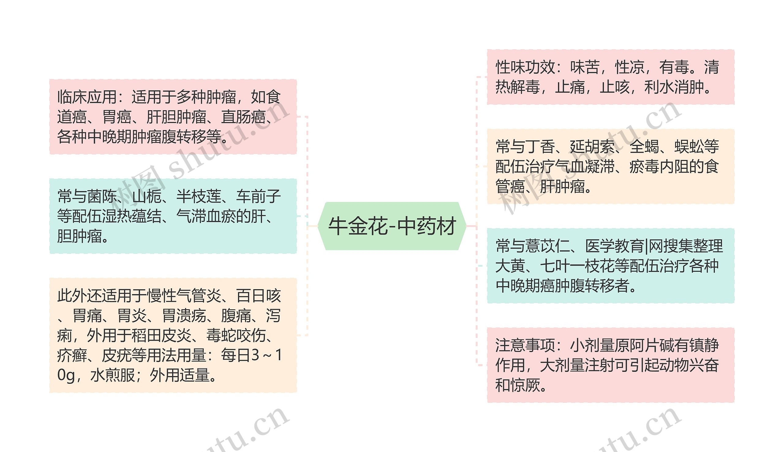 牛金花-中药材思维导图