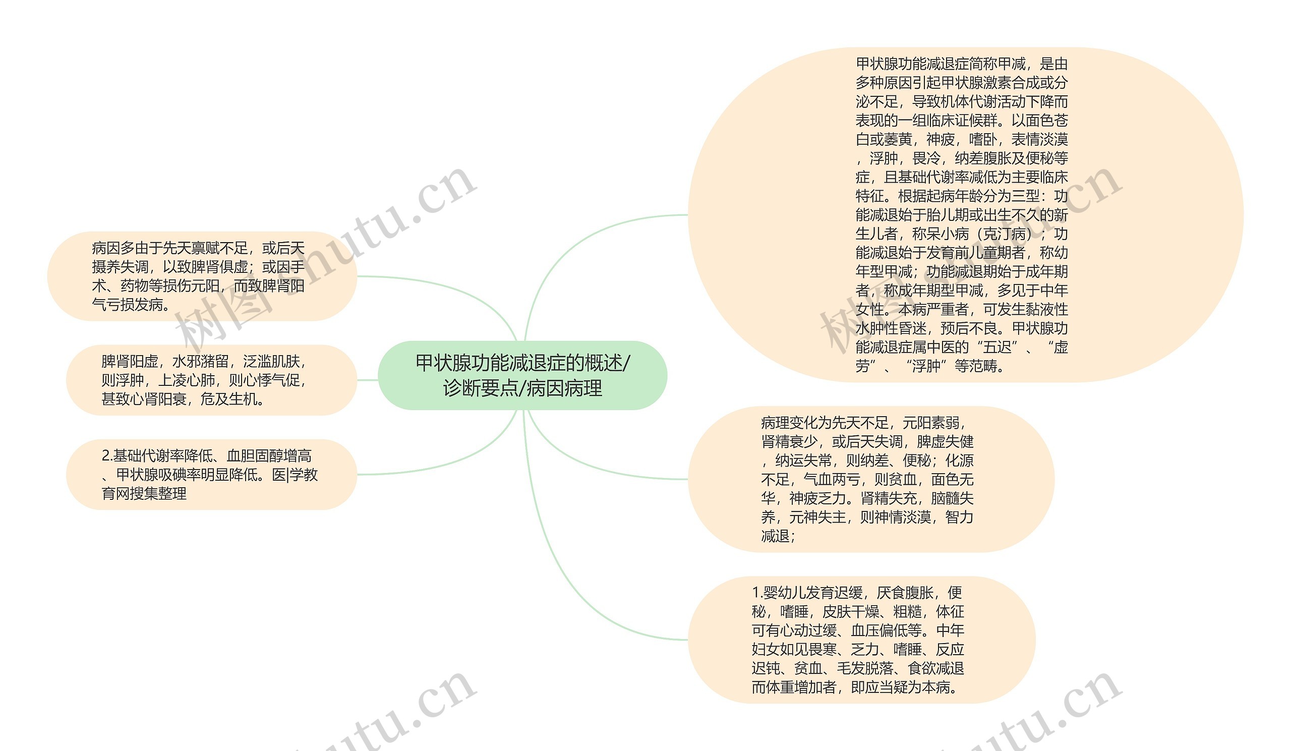 甲状腺功能减退症的概述/诊断要点/病因病理思维导图