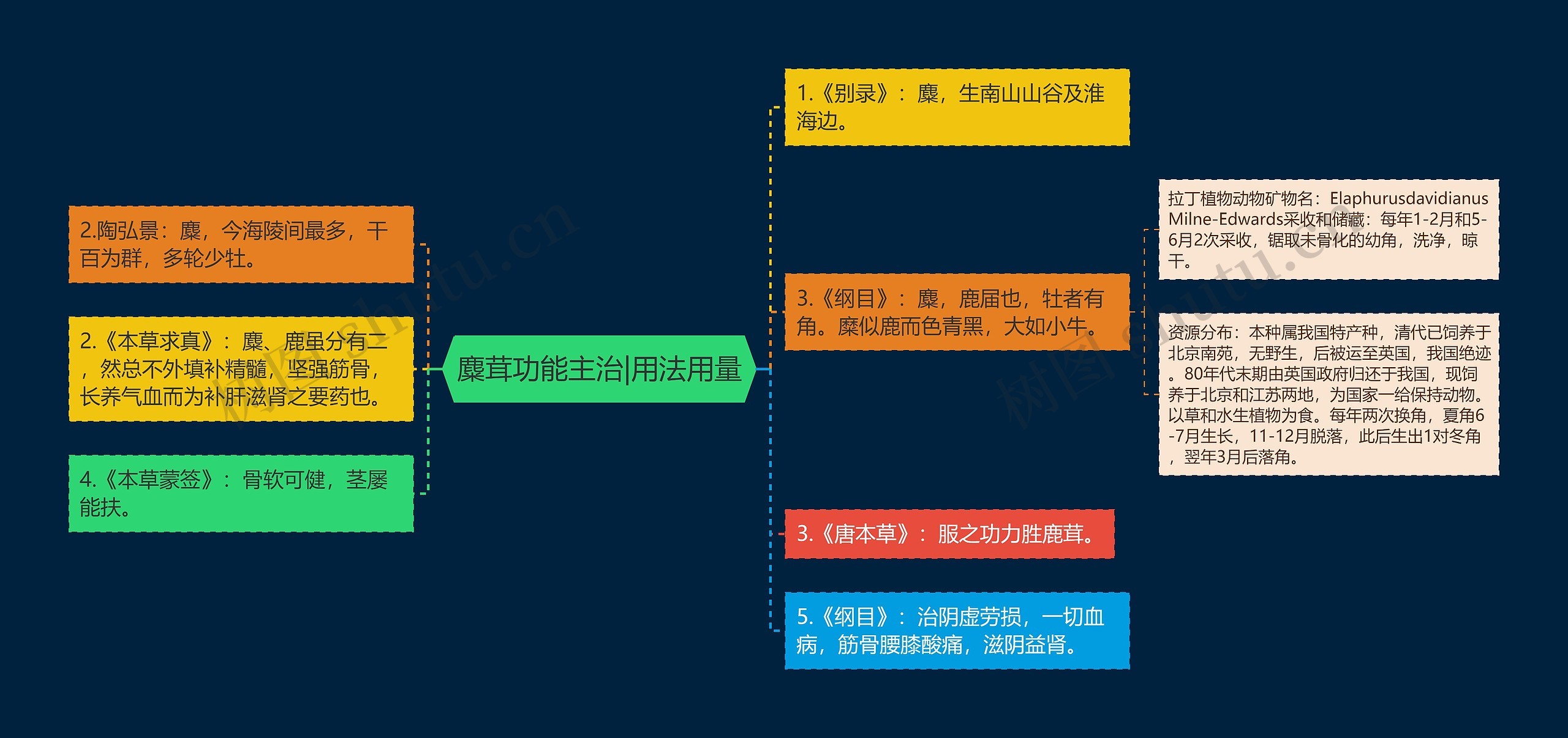 麋茸功能主治|用法用量思维导图