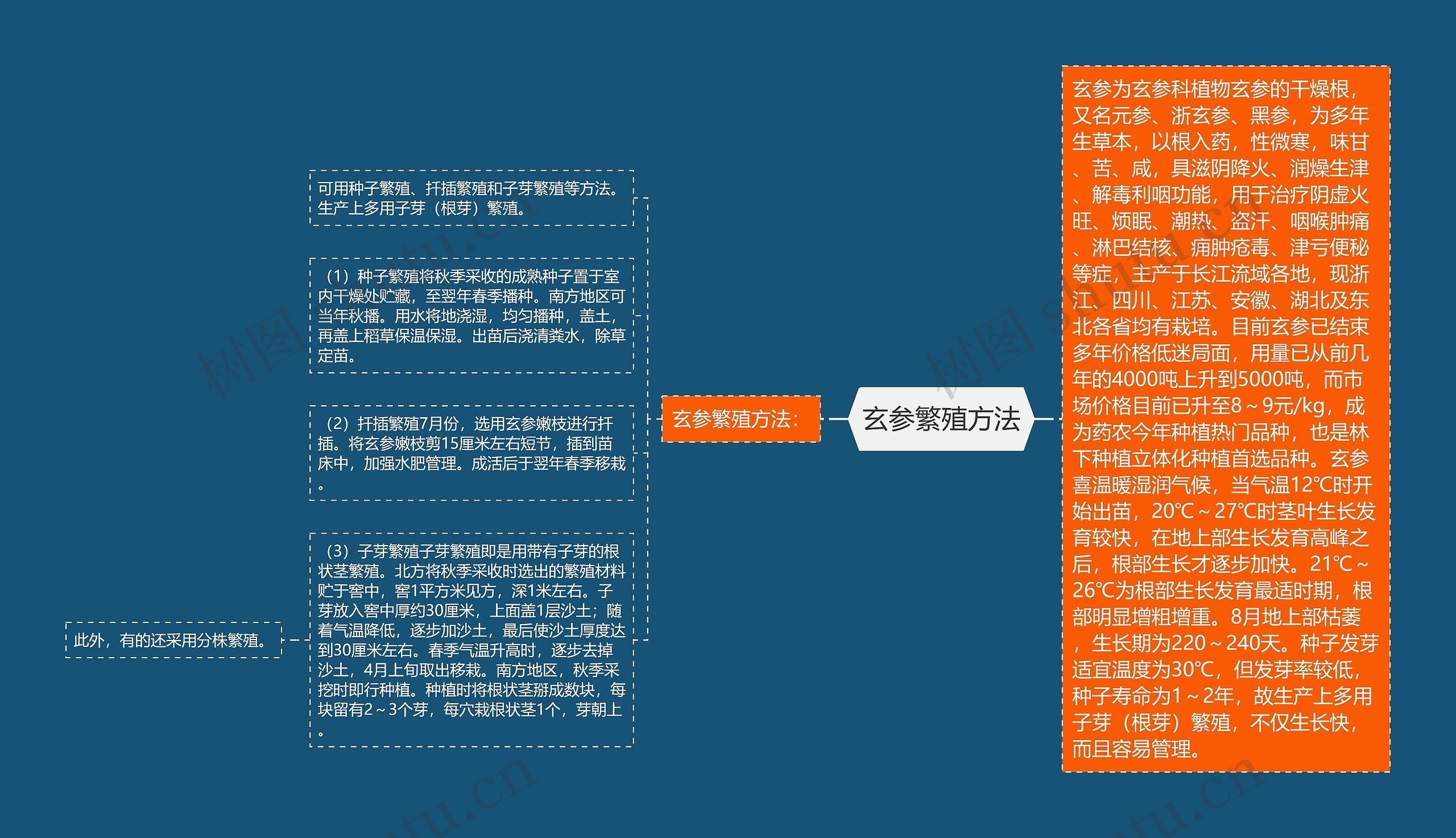 玄参繁殖方法思维导图