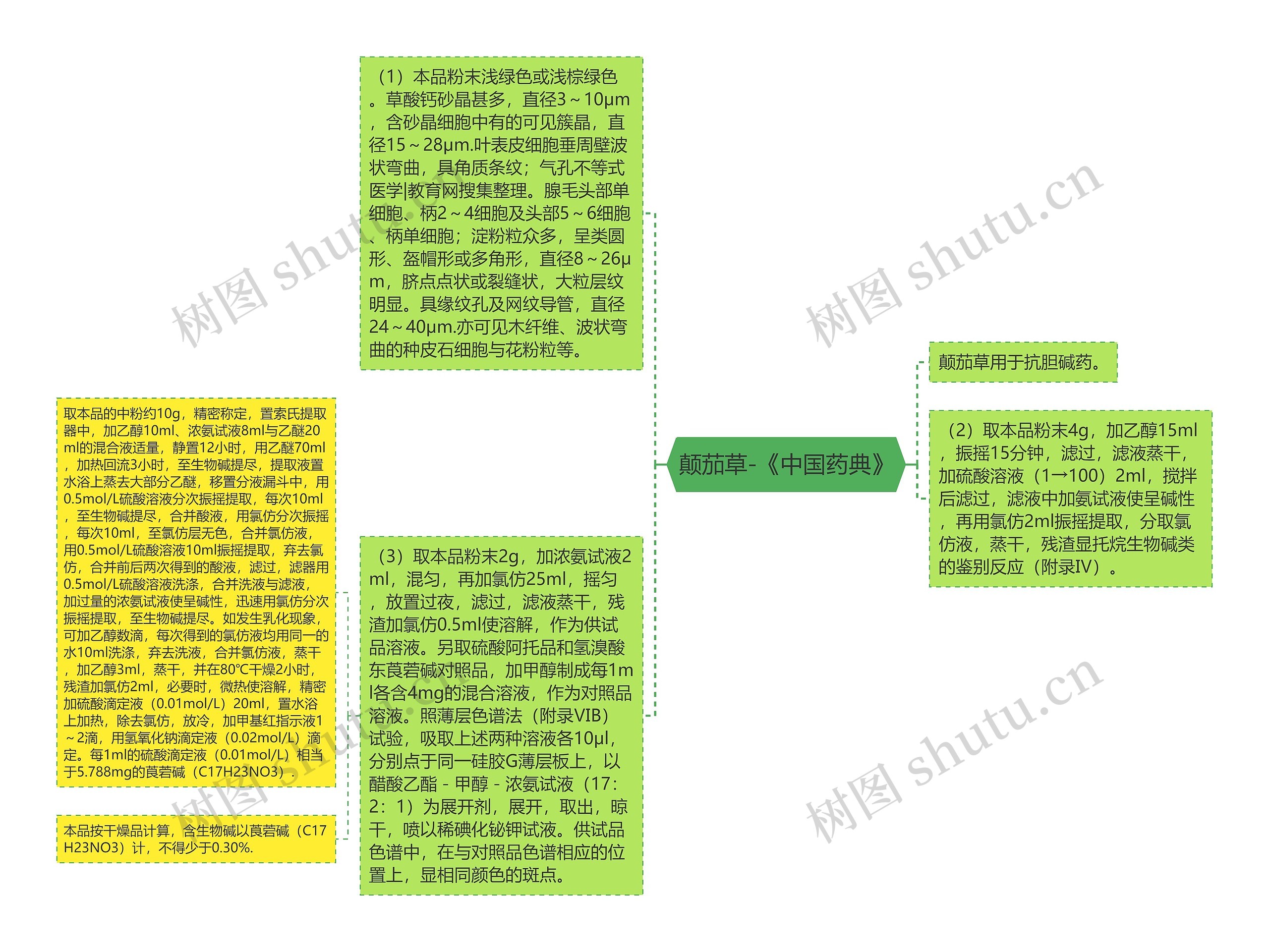 颠茄草-《中国药典》思维导图