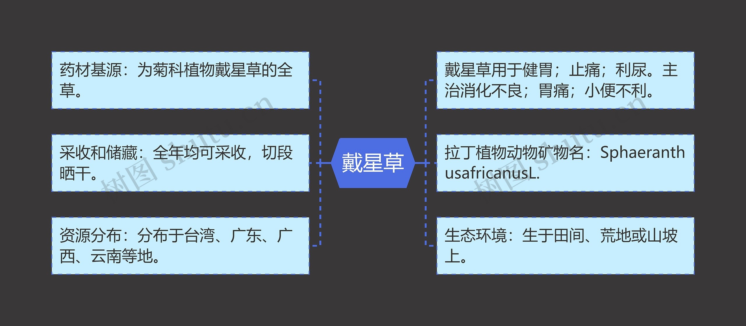 戴星草思维导图