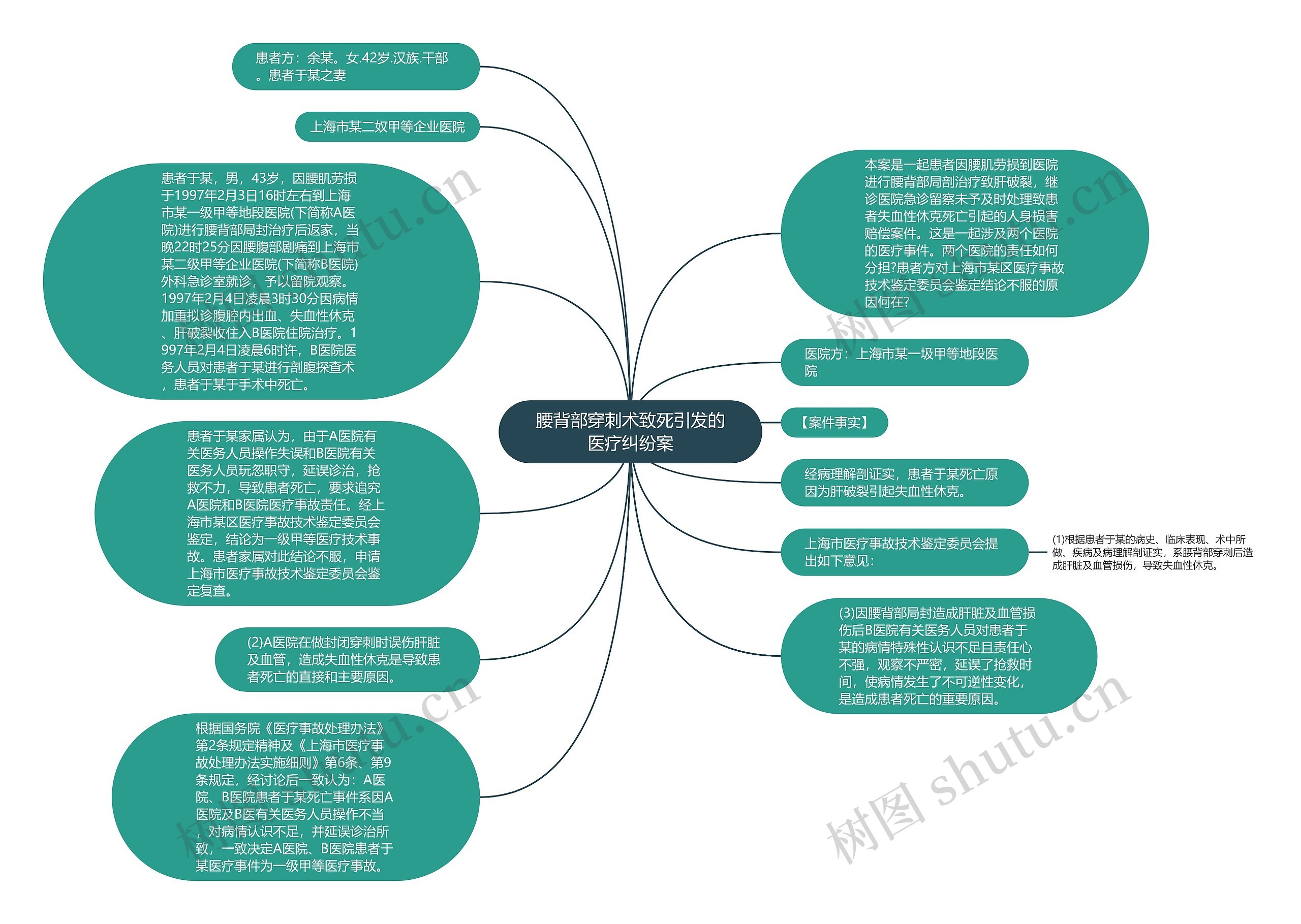 腰背部穿刺术致死引发的医疗纠纷案思维导图