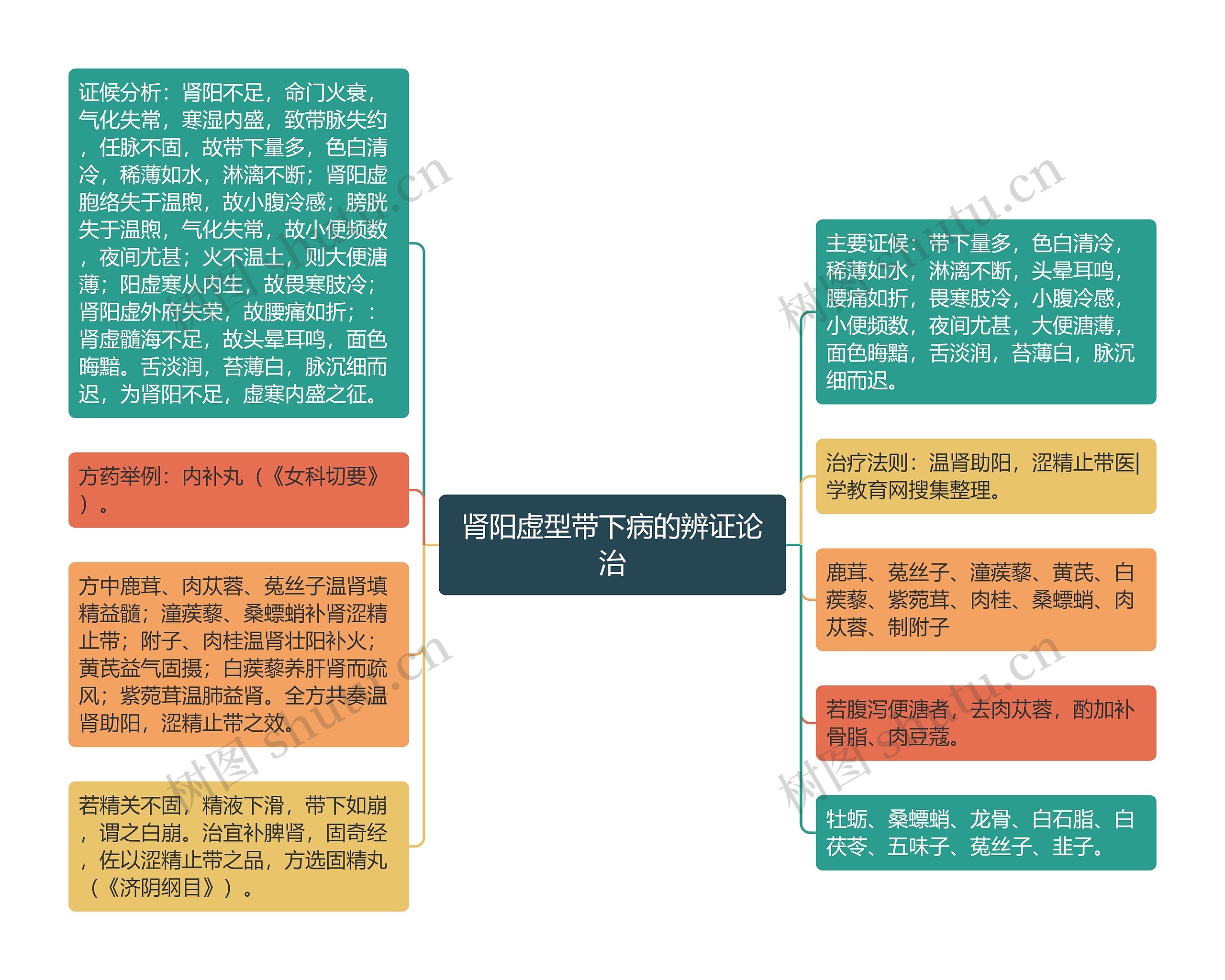 肾阳虚型带下病的辨证论治思维导图