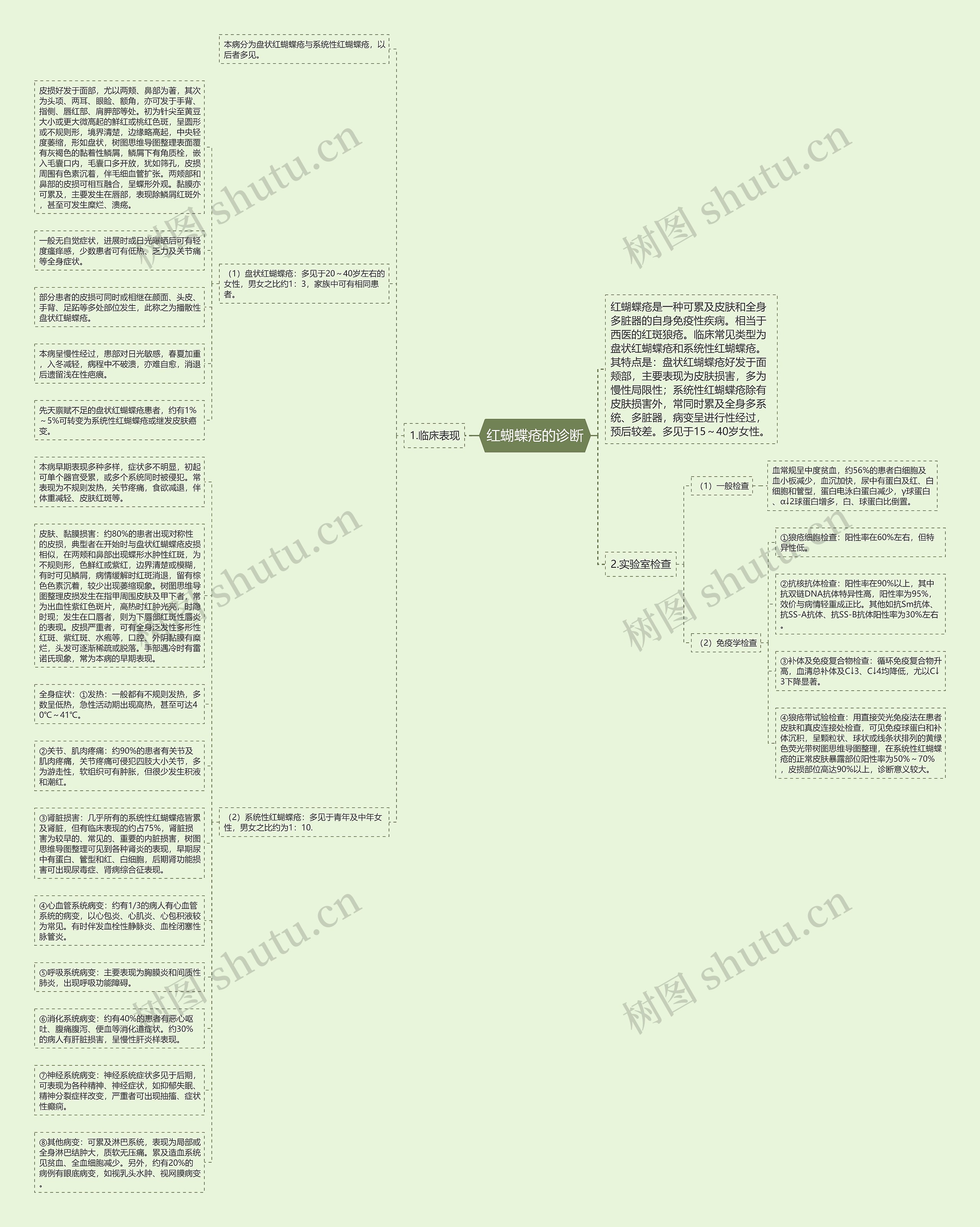 红蝴蝶疮的诊断思维导图