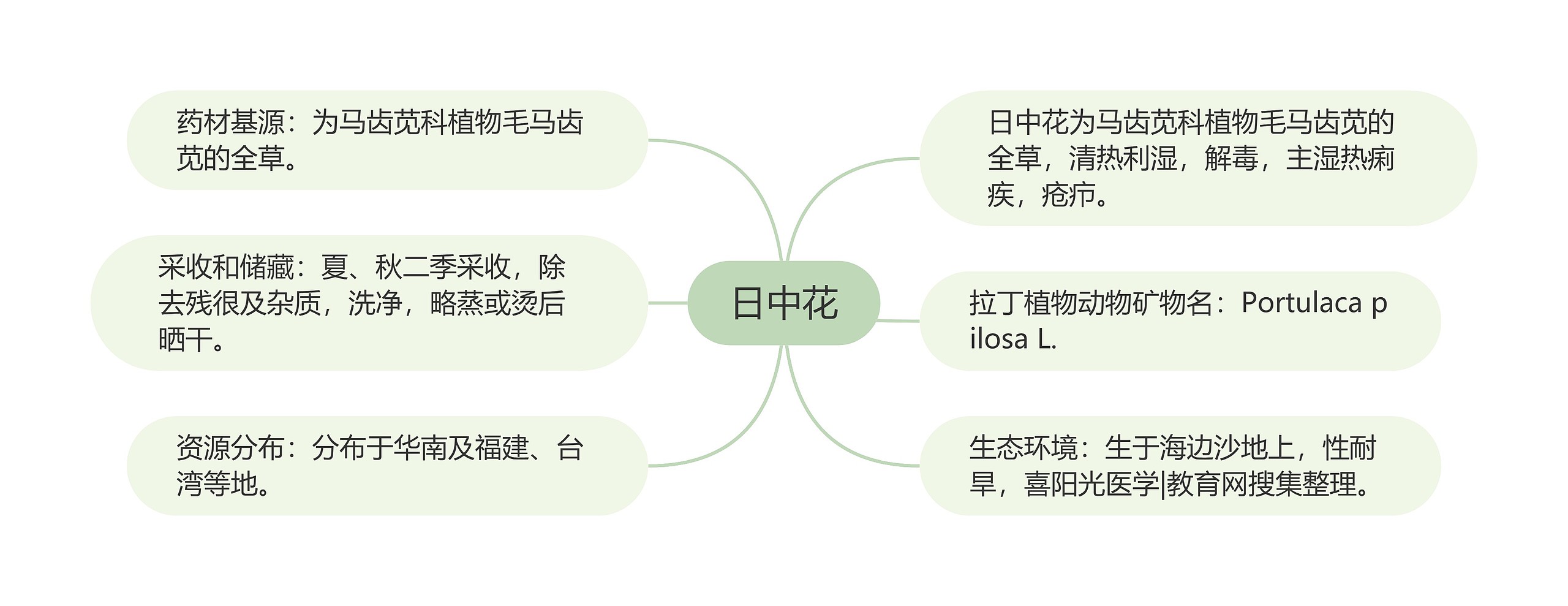 日中花思维导图