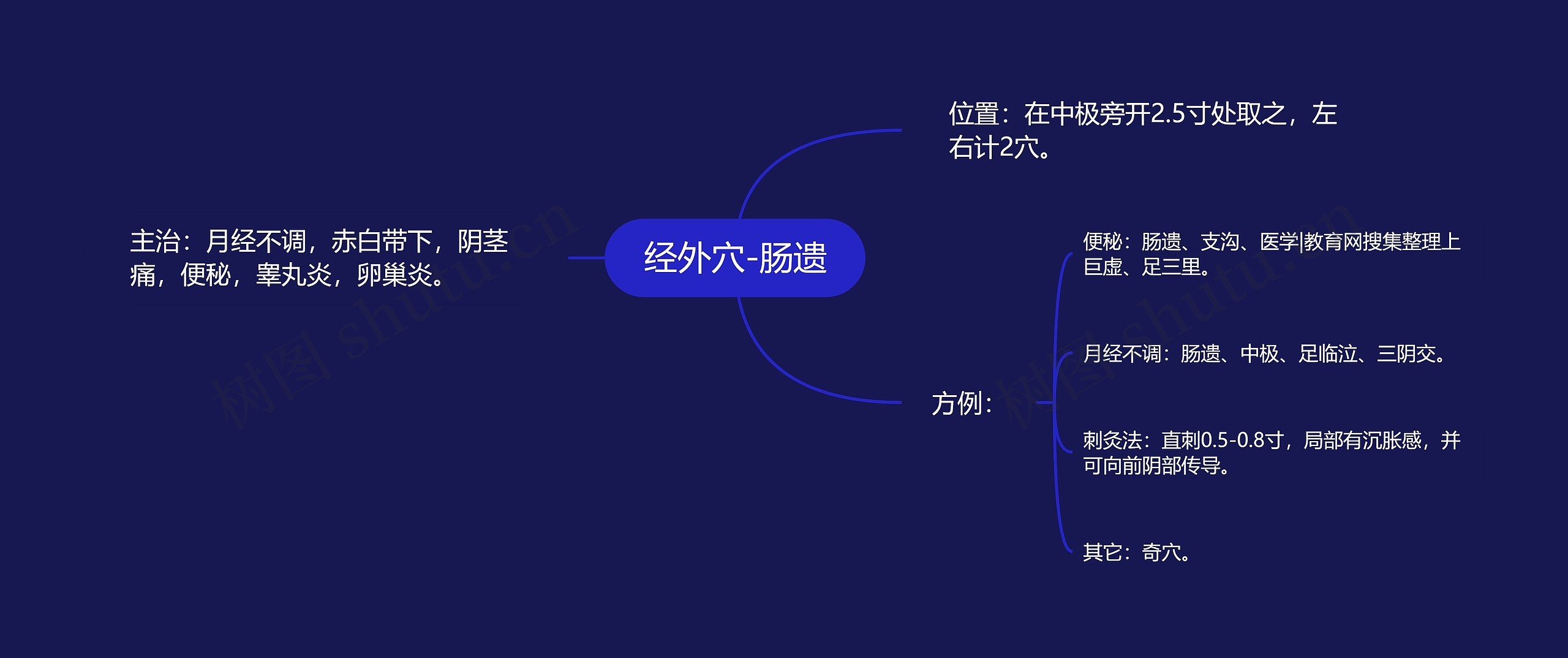 经外穴-肠遗思维导图