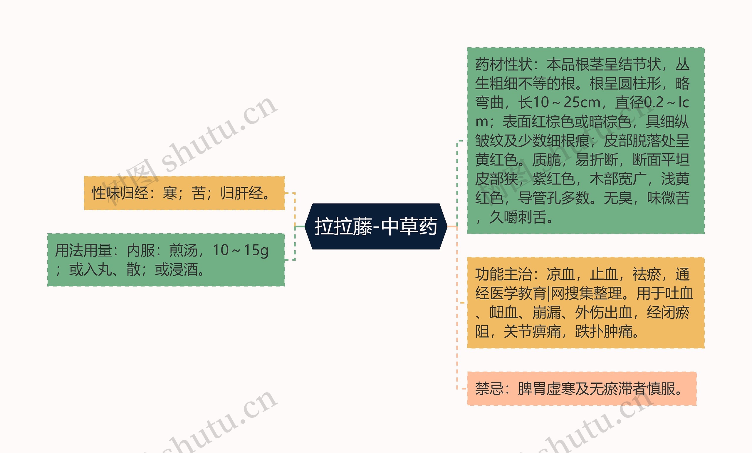 拉拉藤-中草药思维导图