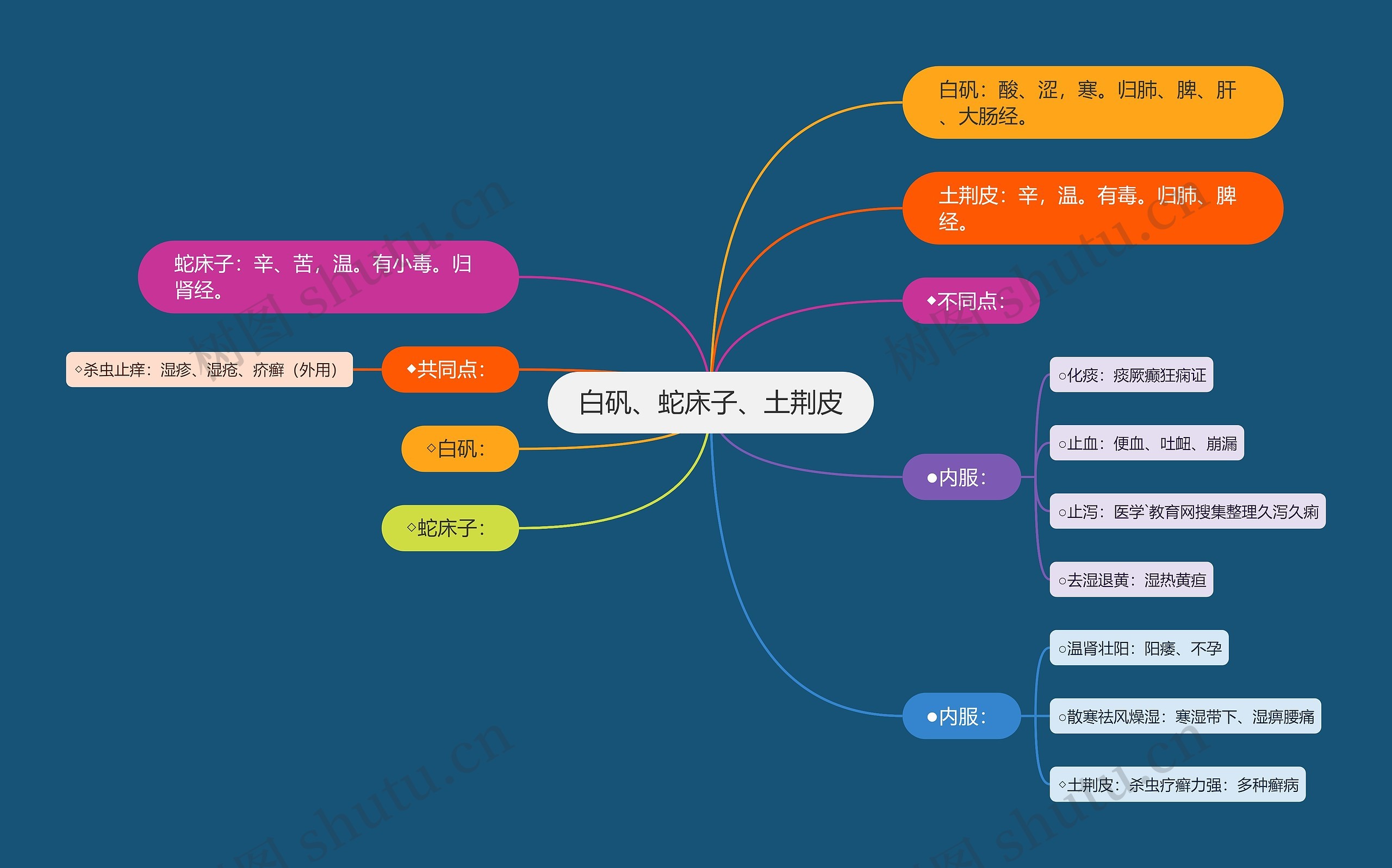 白矾、蛇床子、土荆皮思维导图