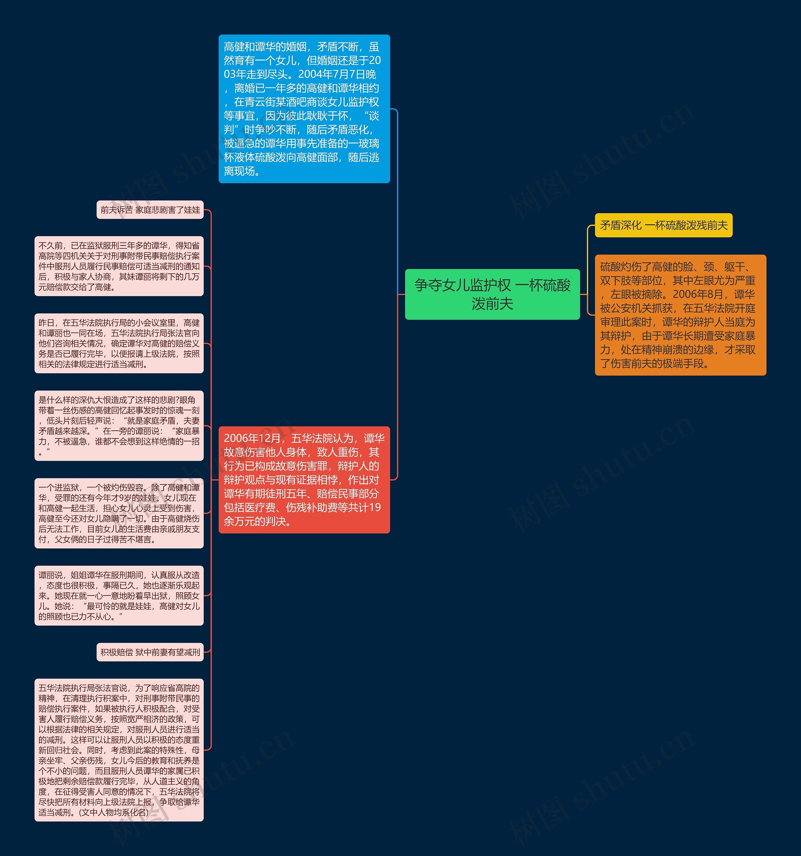 争夺女儿监护权 一杯硫酸泼前夫思维导图