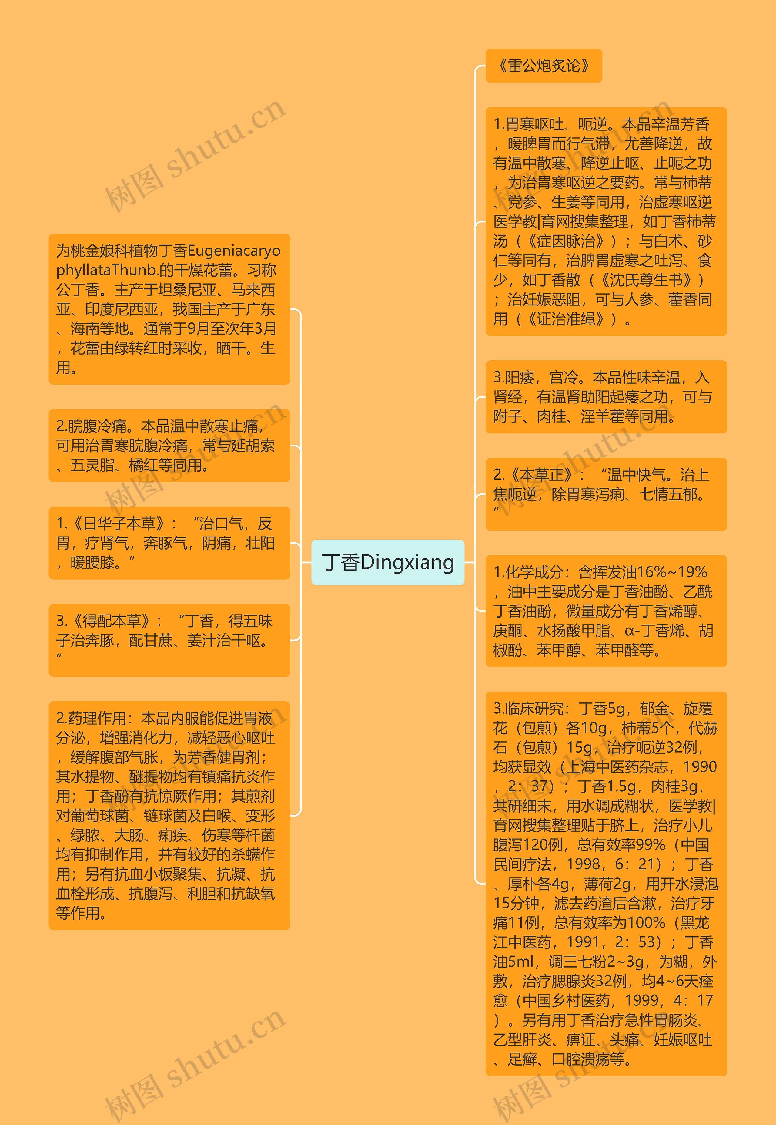 丁香Dingxiang思维导图