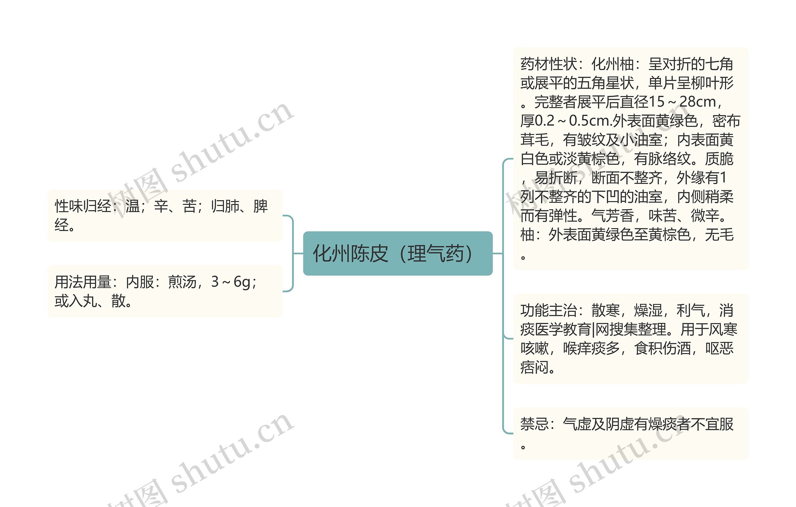 化州陈皮（理气药）