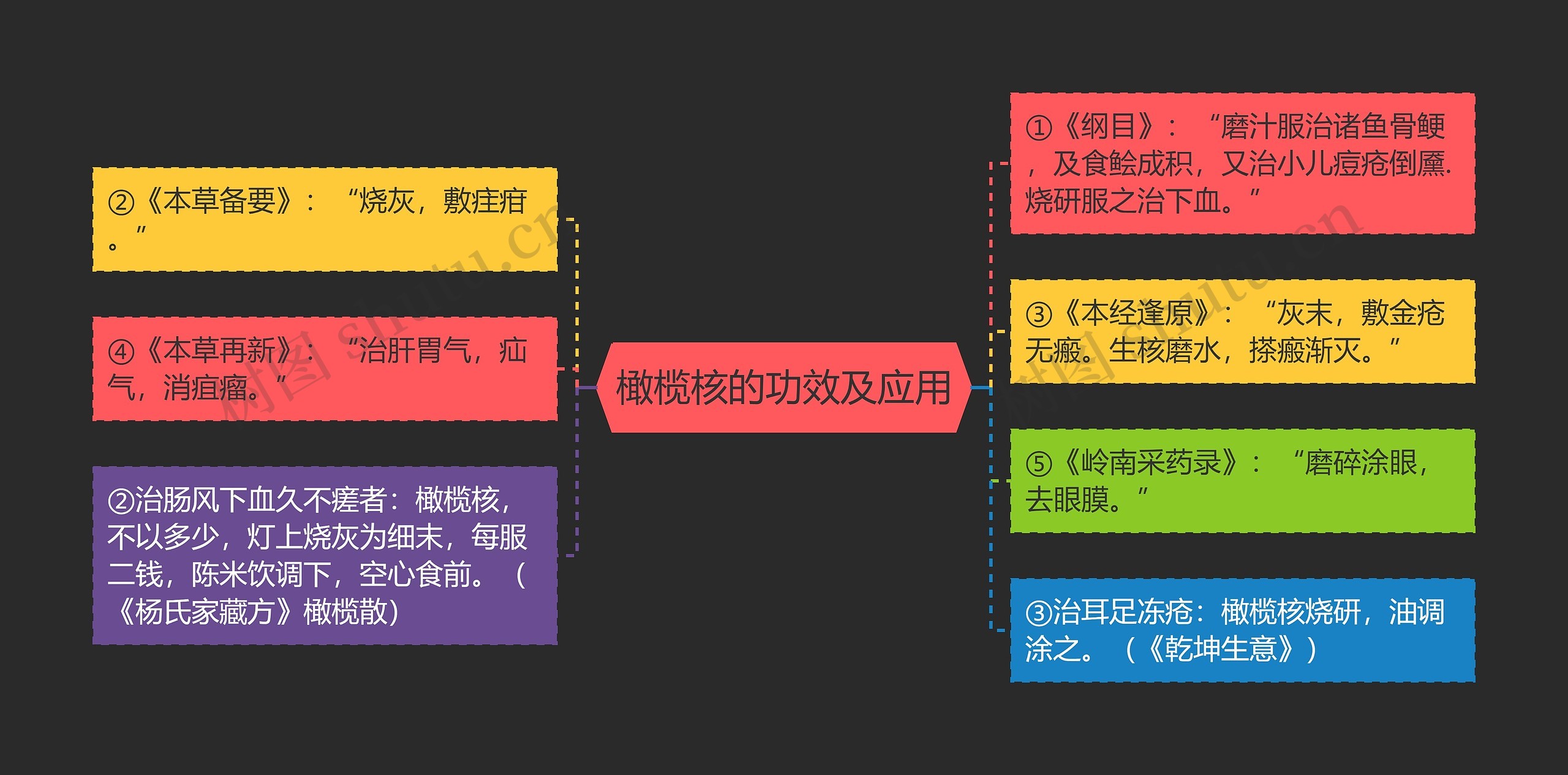 橄榄核的功效及应用