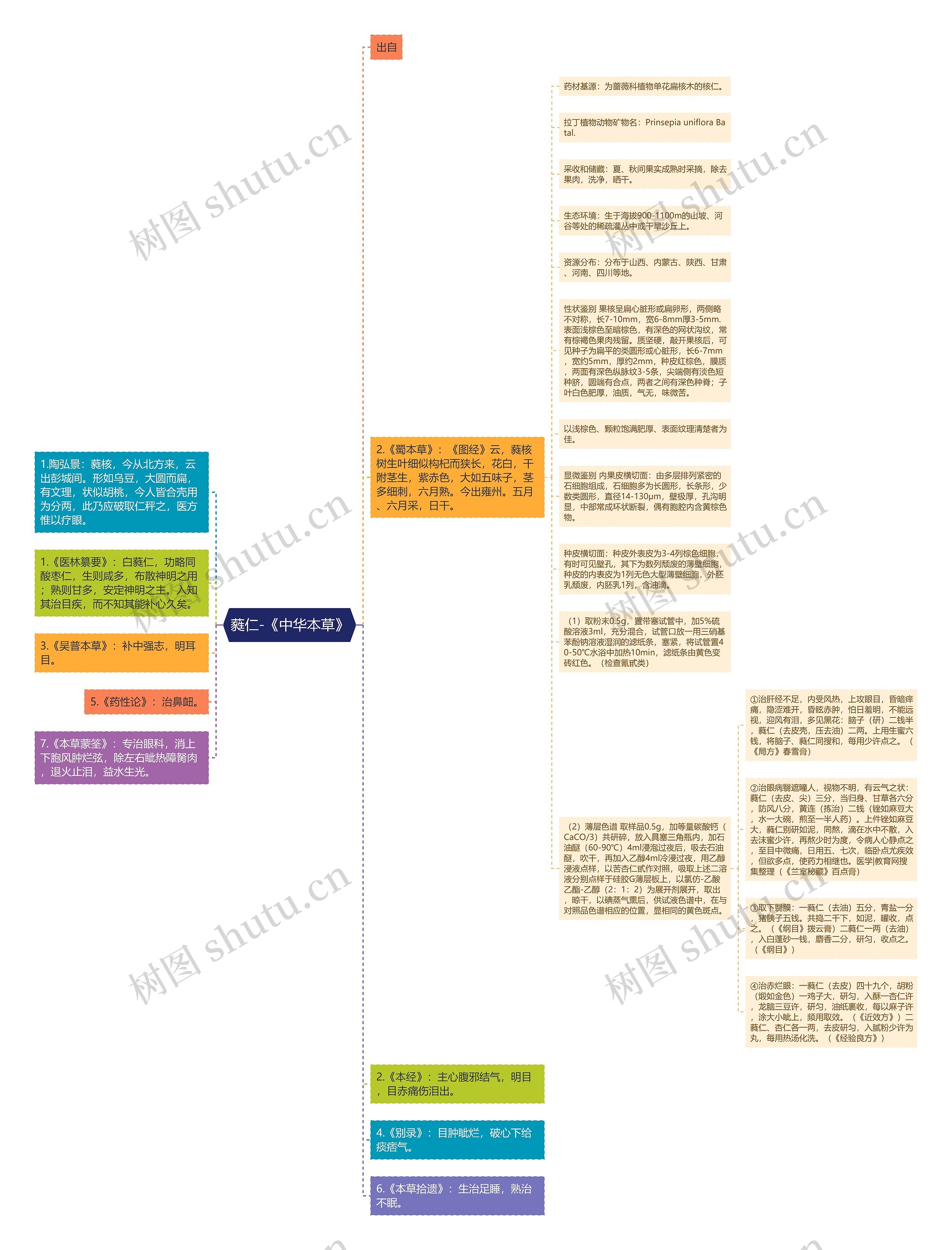 蕤仁-《中华本草》思维导图