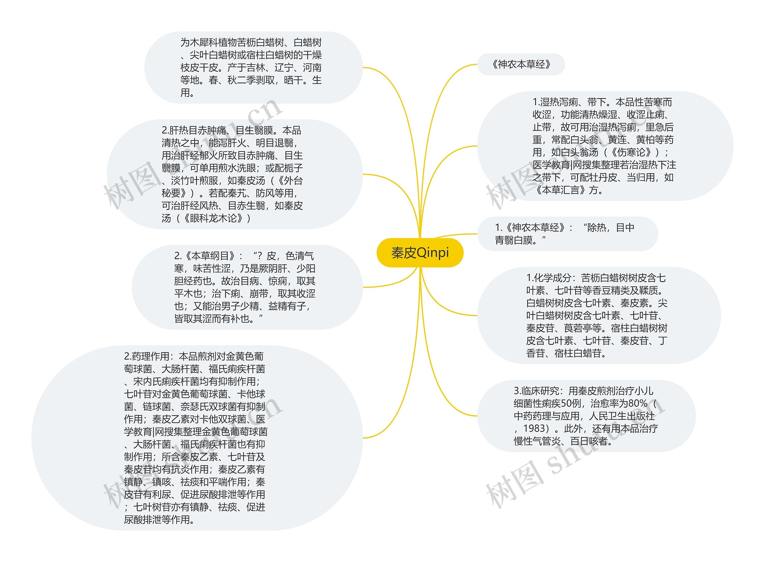 秦皮Qinpi思维导图