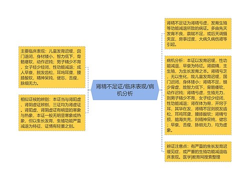 肾精不足证/临床表现/病机分析