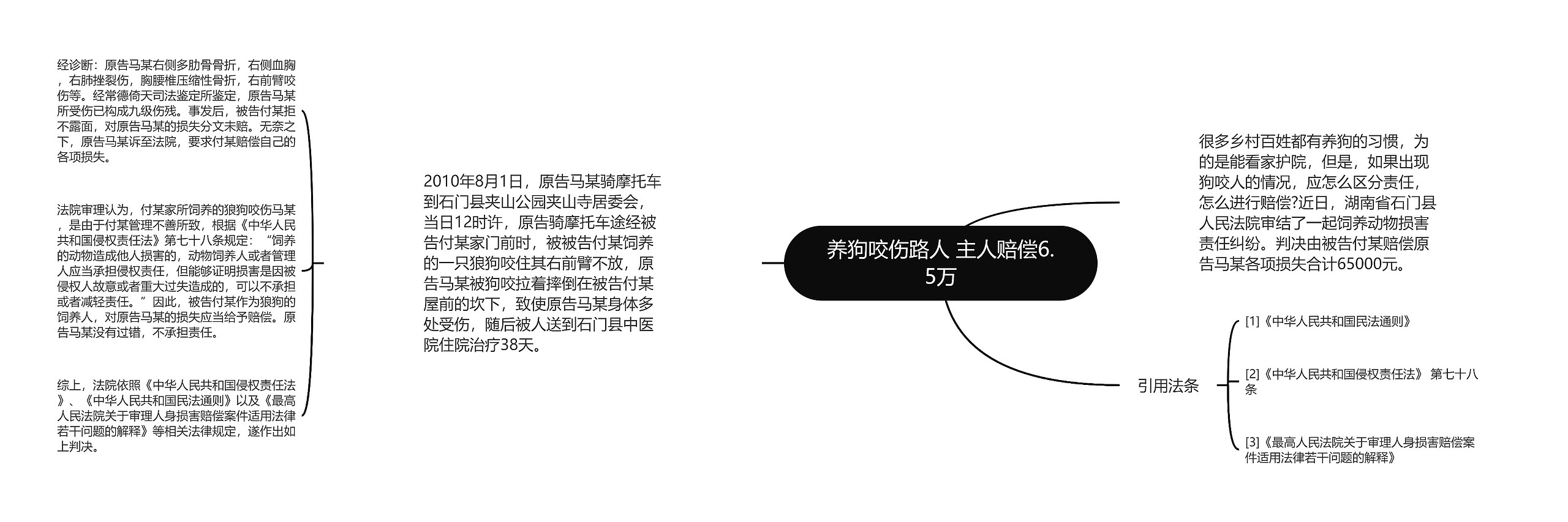 养狗咬伤路人 主人赔偿6.5万思维导图