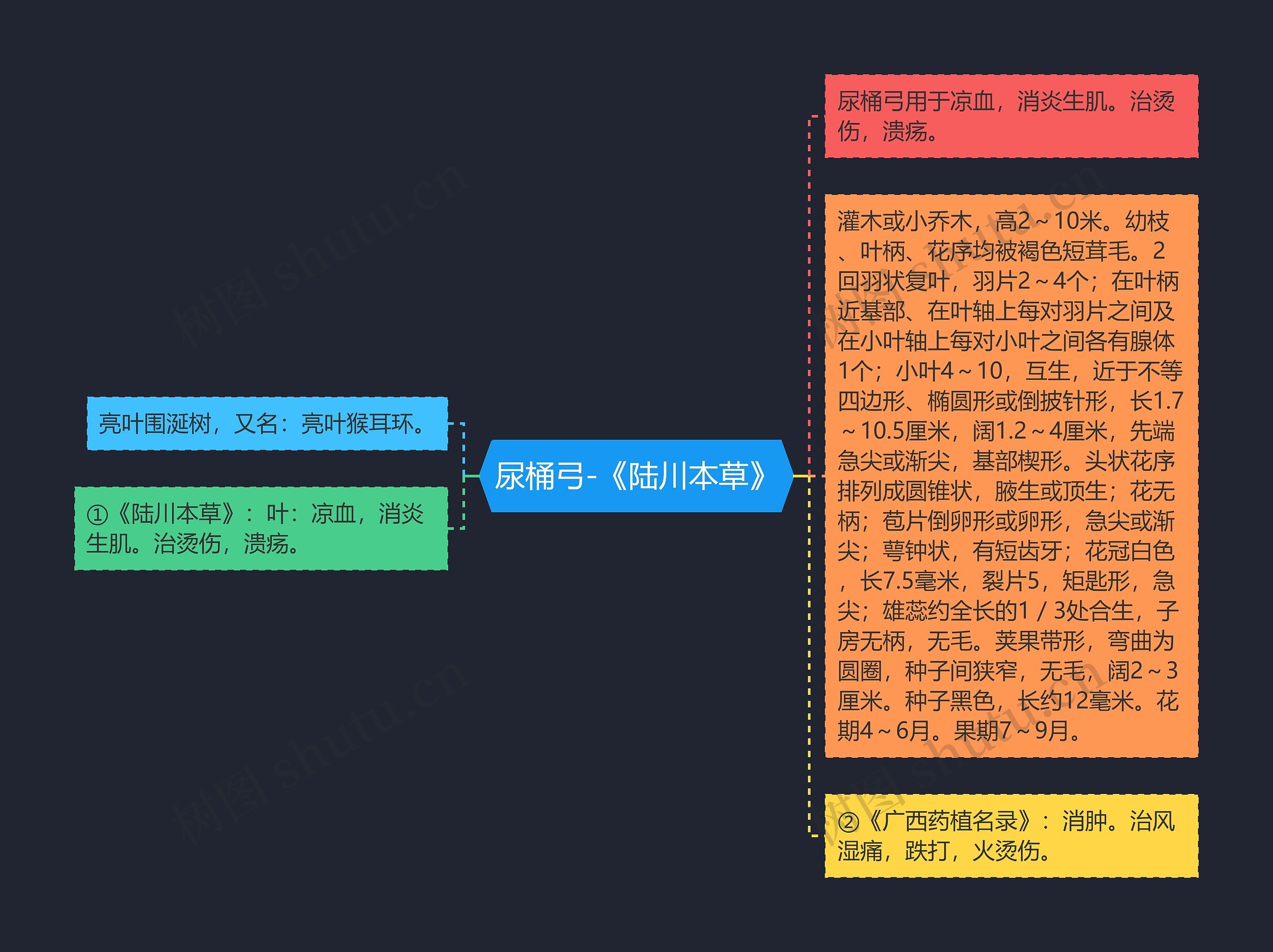 尿桶弓-《陆川本草》思维导图