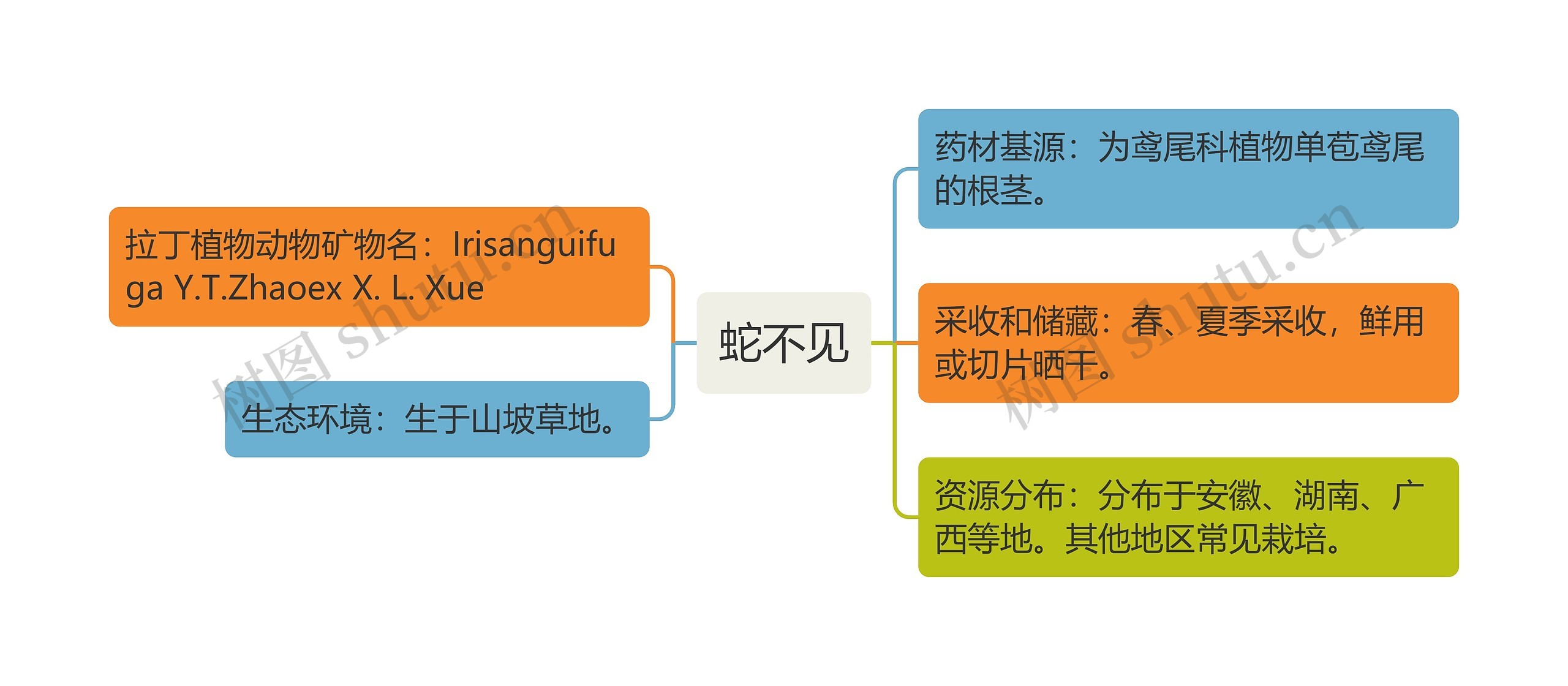 蛇不见思维导图