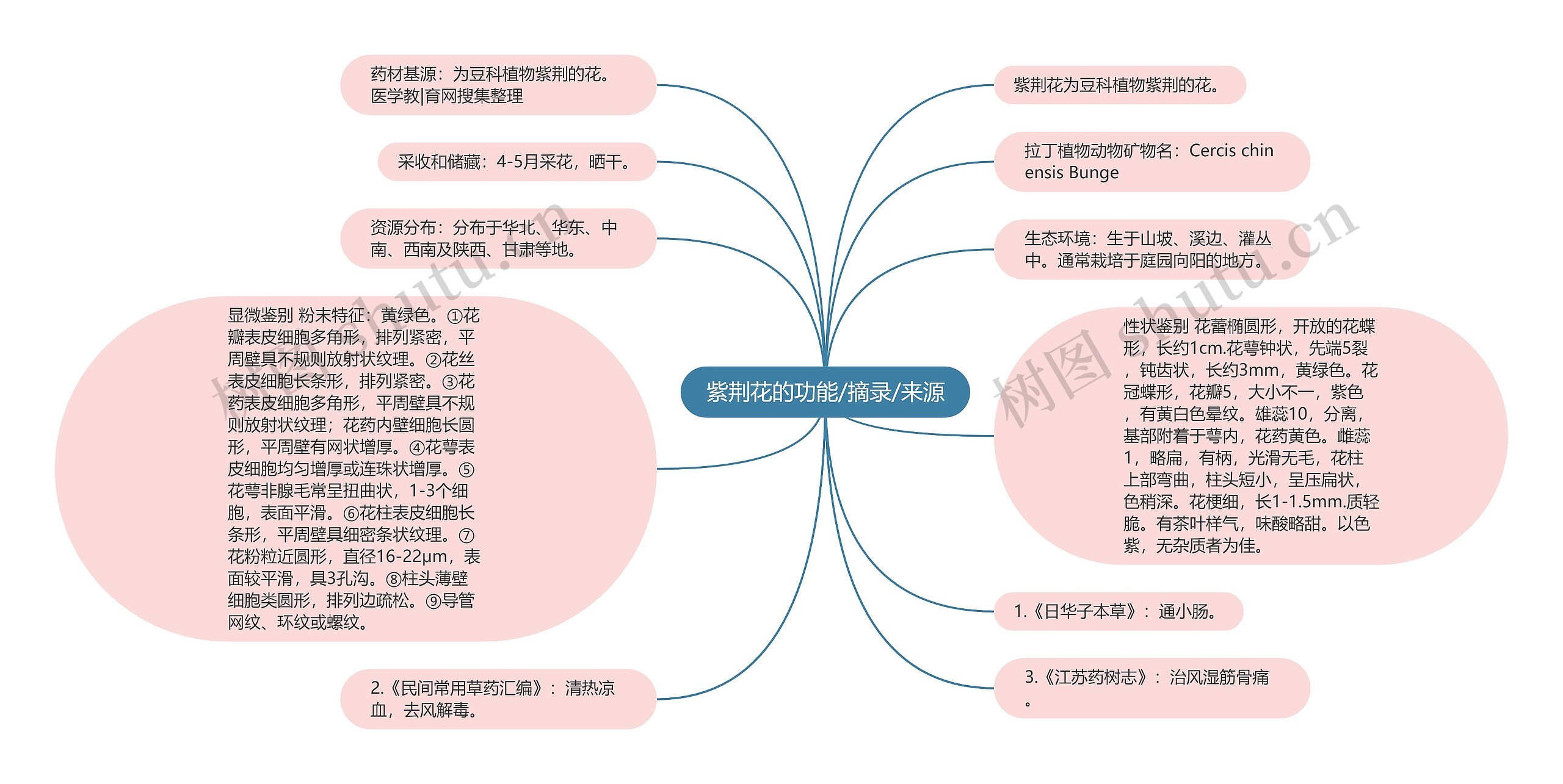 紫荆花的功能/摘录/来源思维导图