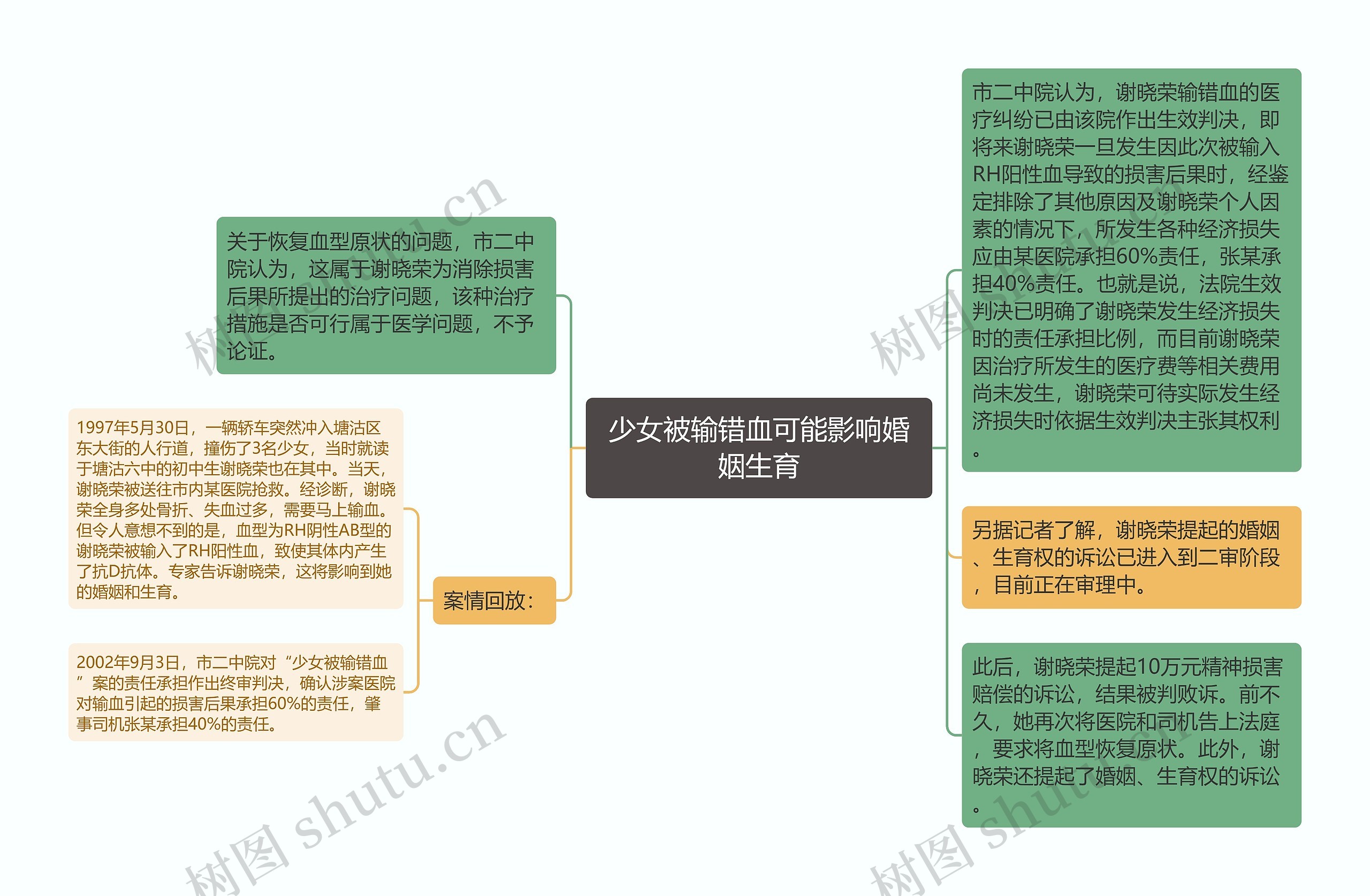 少女被输错血可能影响婚姻生育思维导图