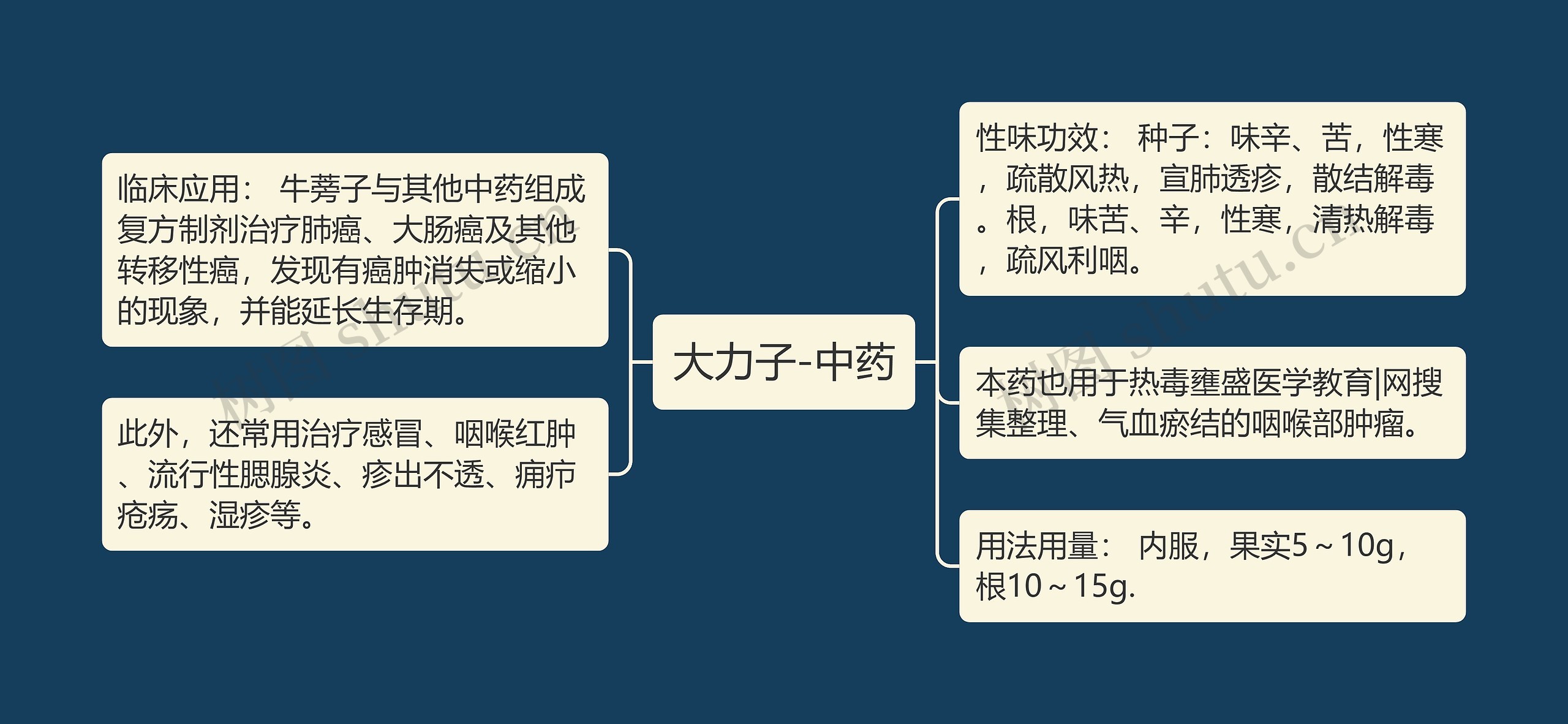 大力子-中药 大力子-中药