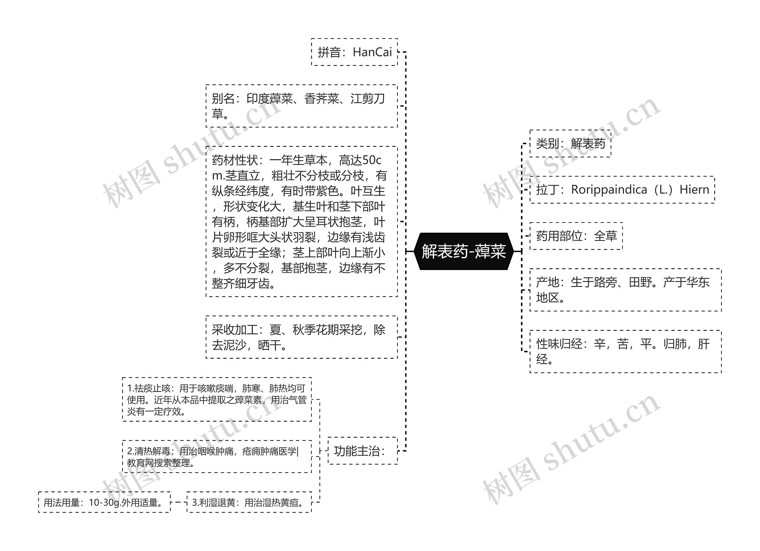 解表药-蔊菜思维导图