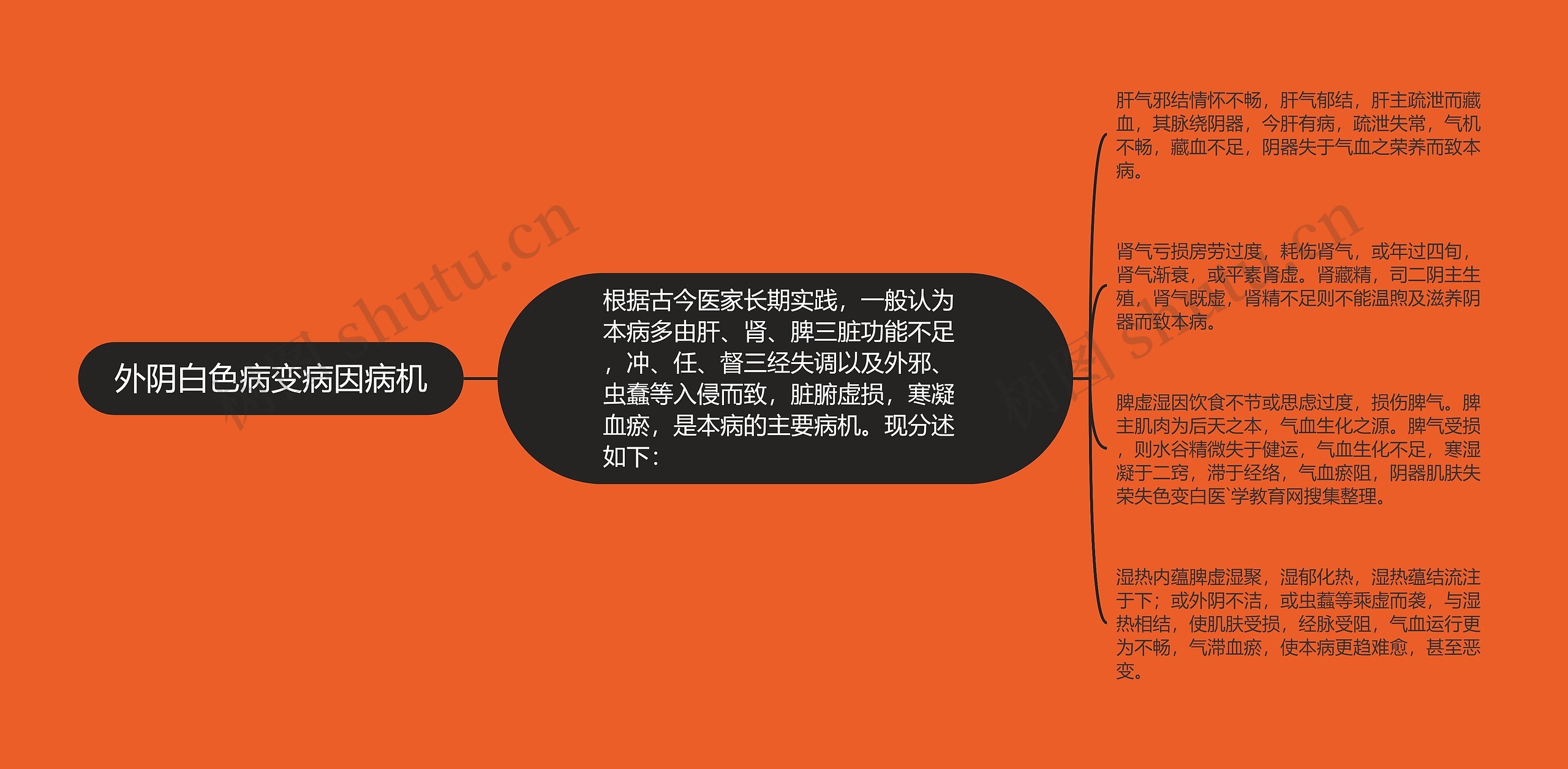 外阴白色病变病因病机 外阴白色病变病因病机