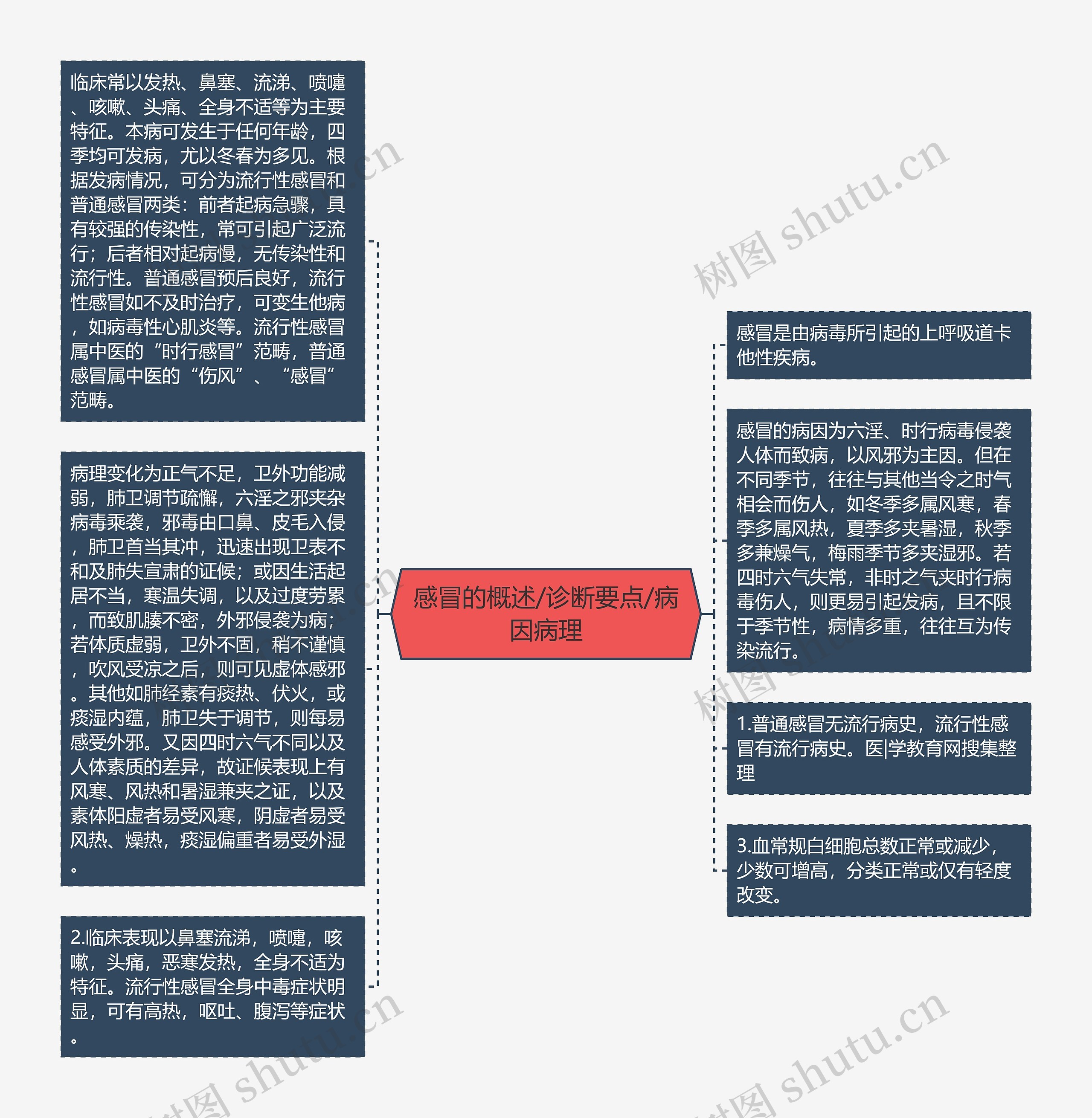 感冒的概述/诊断要点/病因病理思维导图