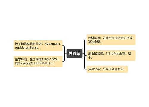 神香草