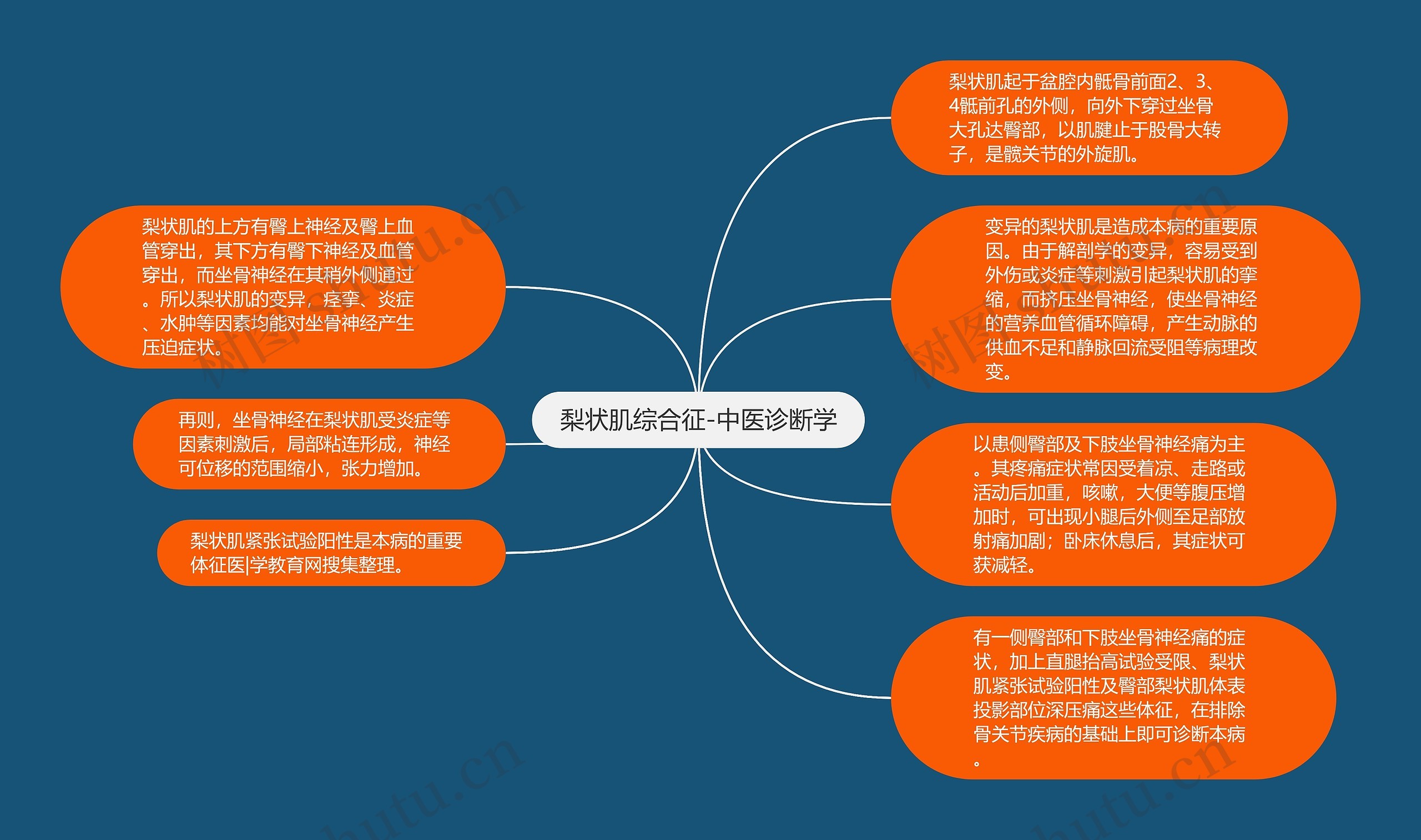 梨状肌综合征-中医诊断学