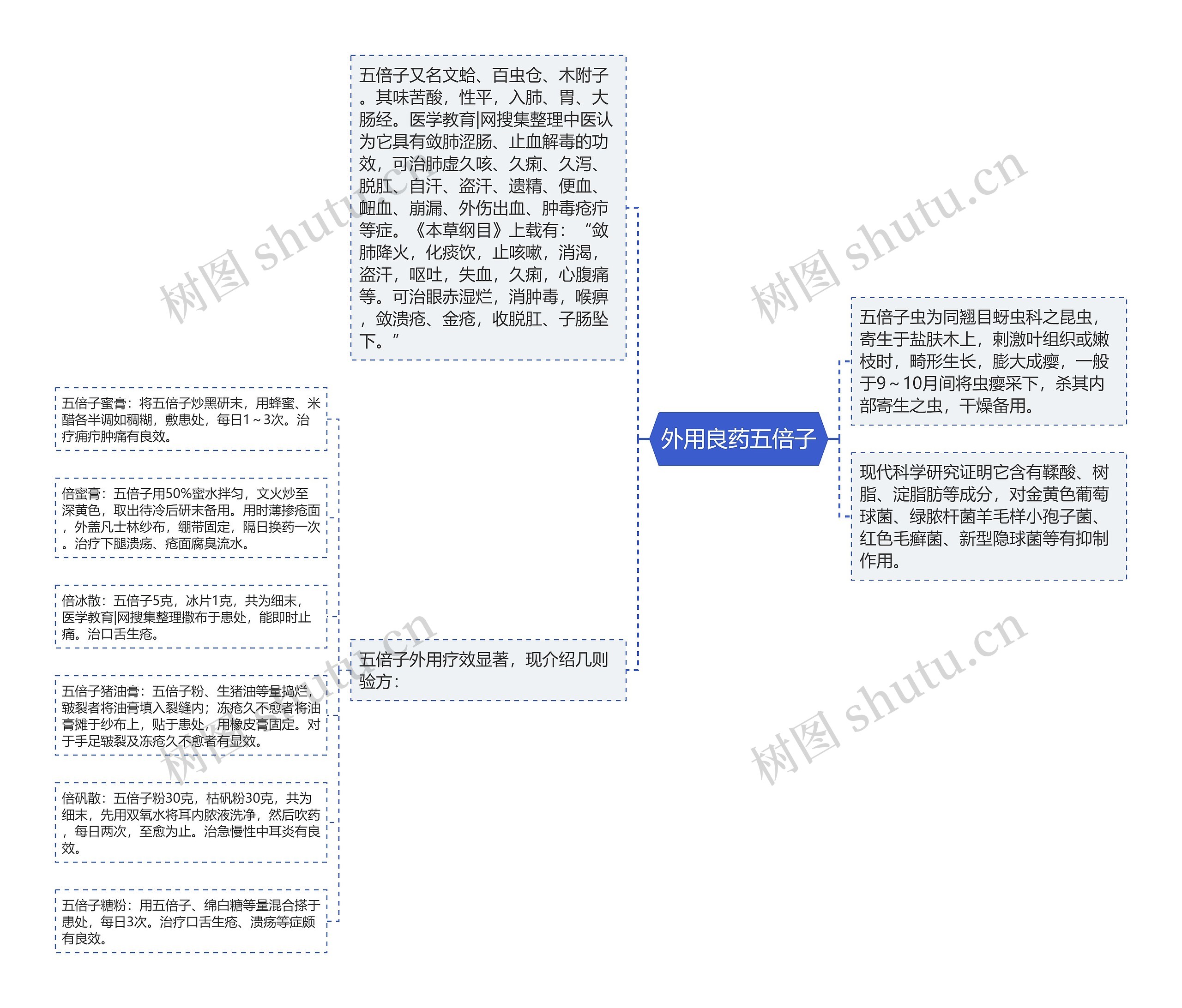 外用良药五倍子思维导图