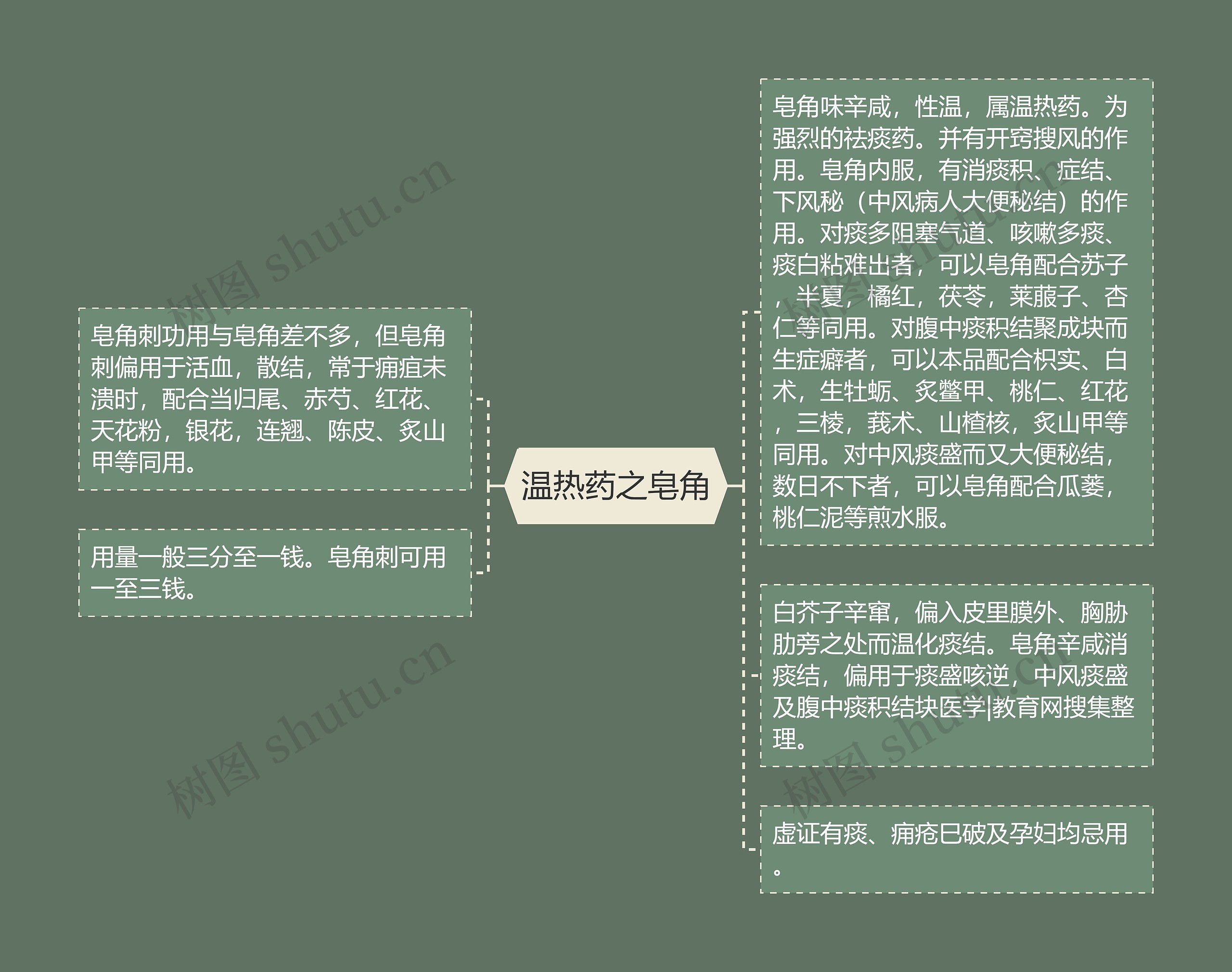 温热药之皂角思维导图