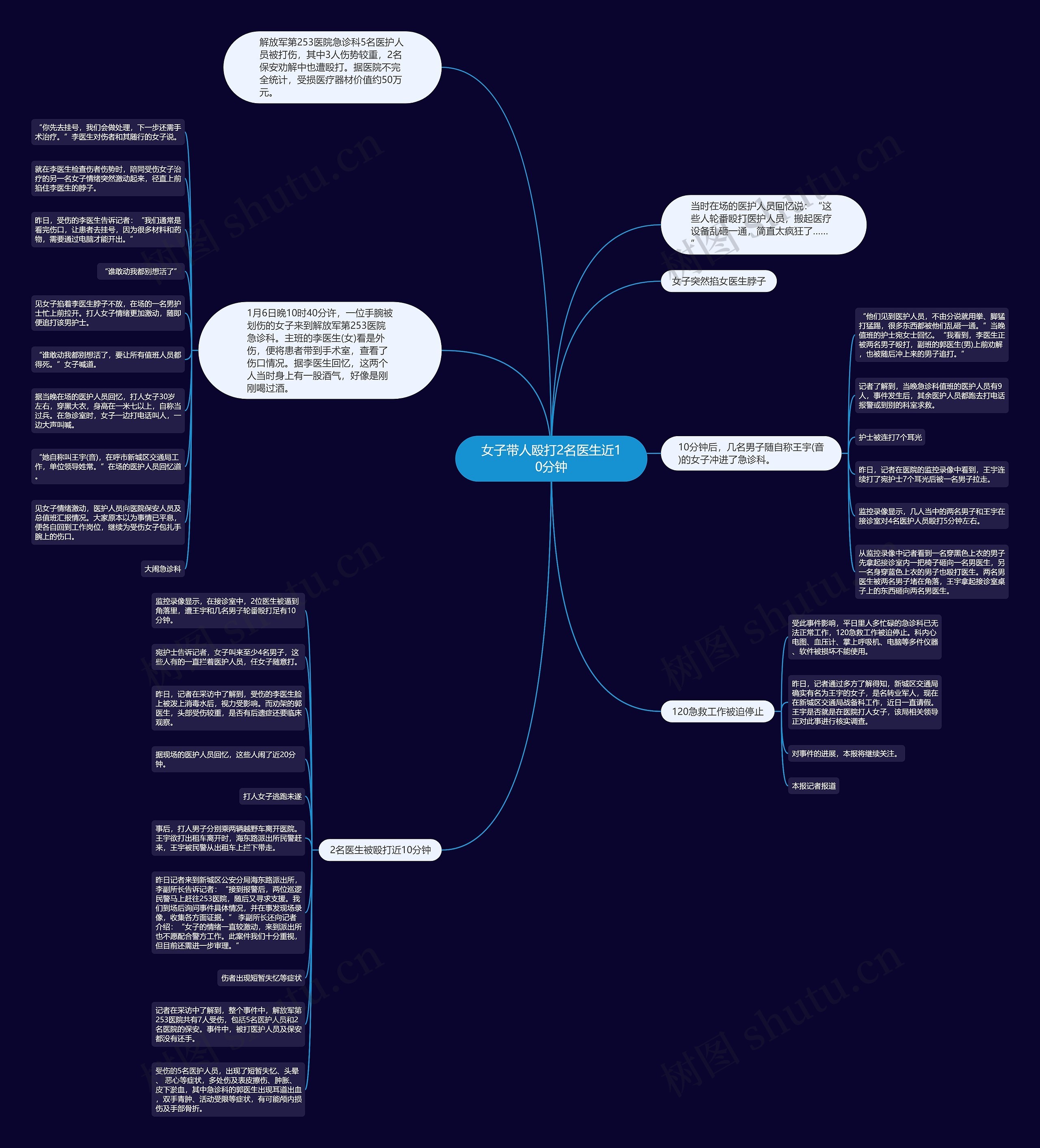 女子带人殴打2名医生近10分钟思维导图