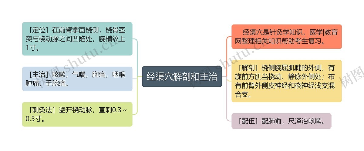 经渠穴解剖和主治思维导图_编号p6970829-TreeMind树图