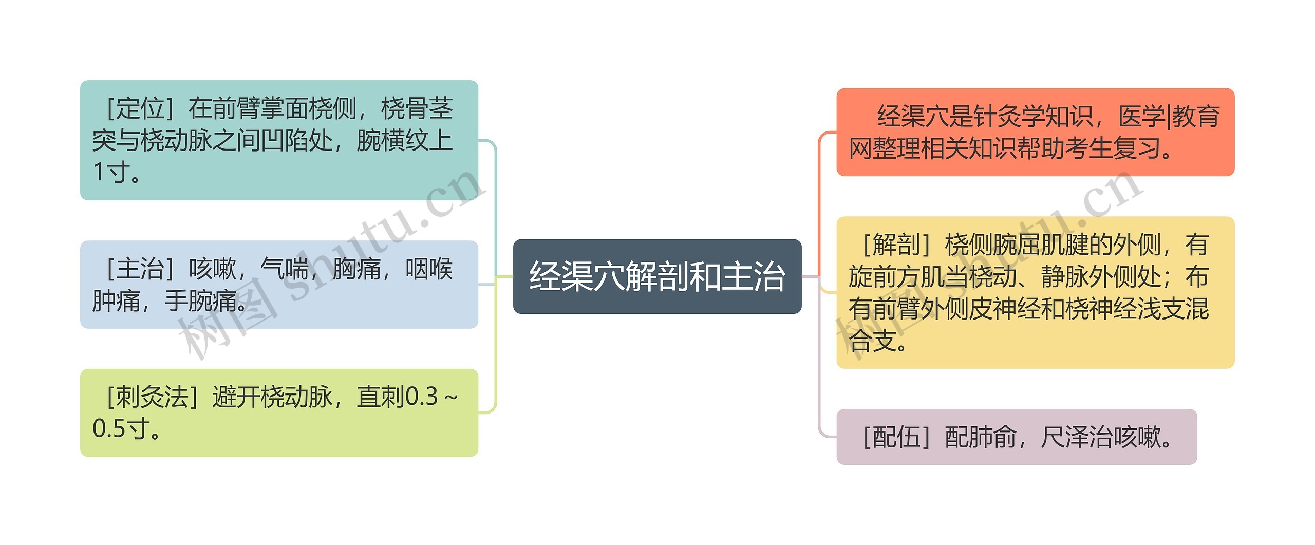 经渠穴解剖和主治思维导图