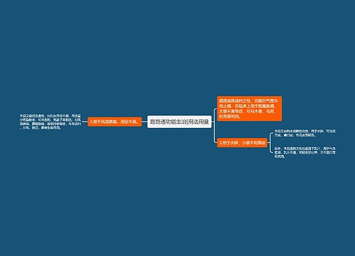 路路通功能主治|用法用量