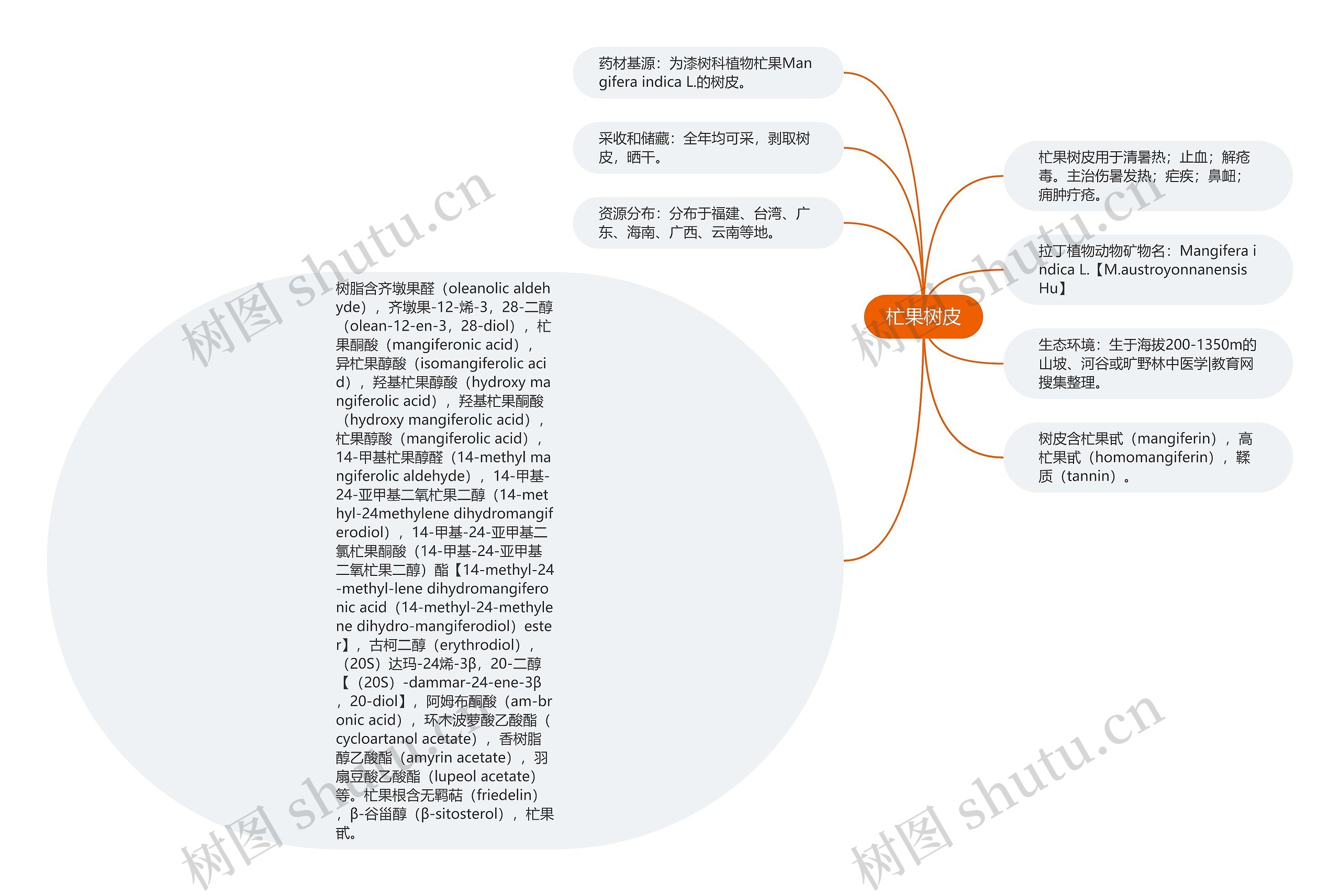 杧果树皮思维导图