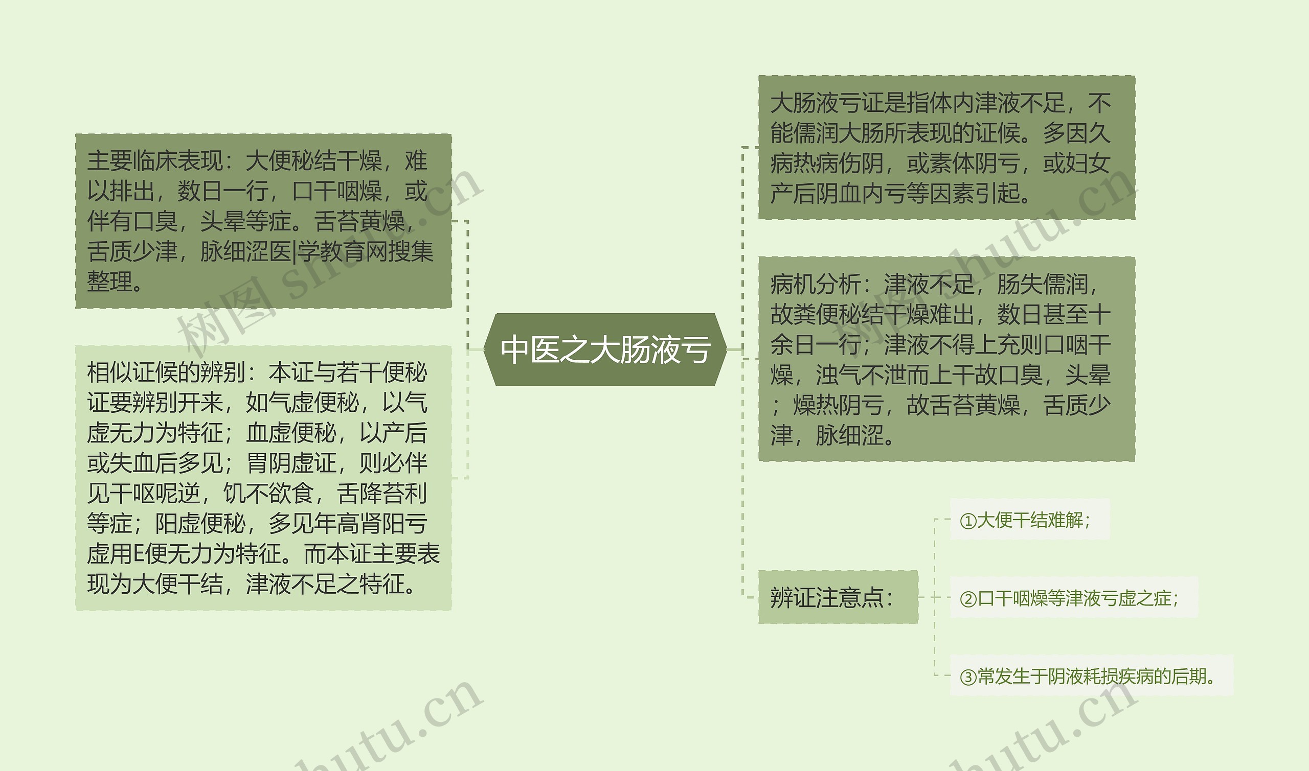 中医之大肠液亏思维导图