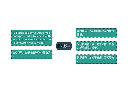 白九股牛