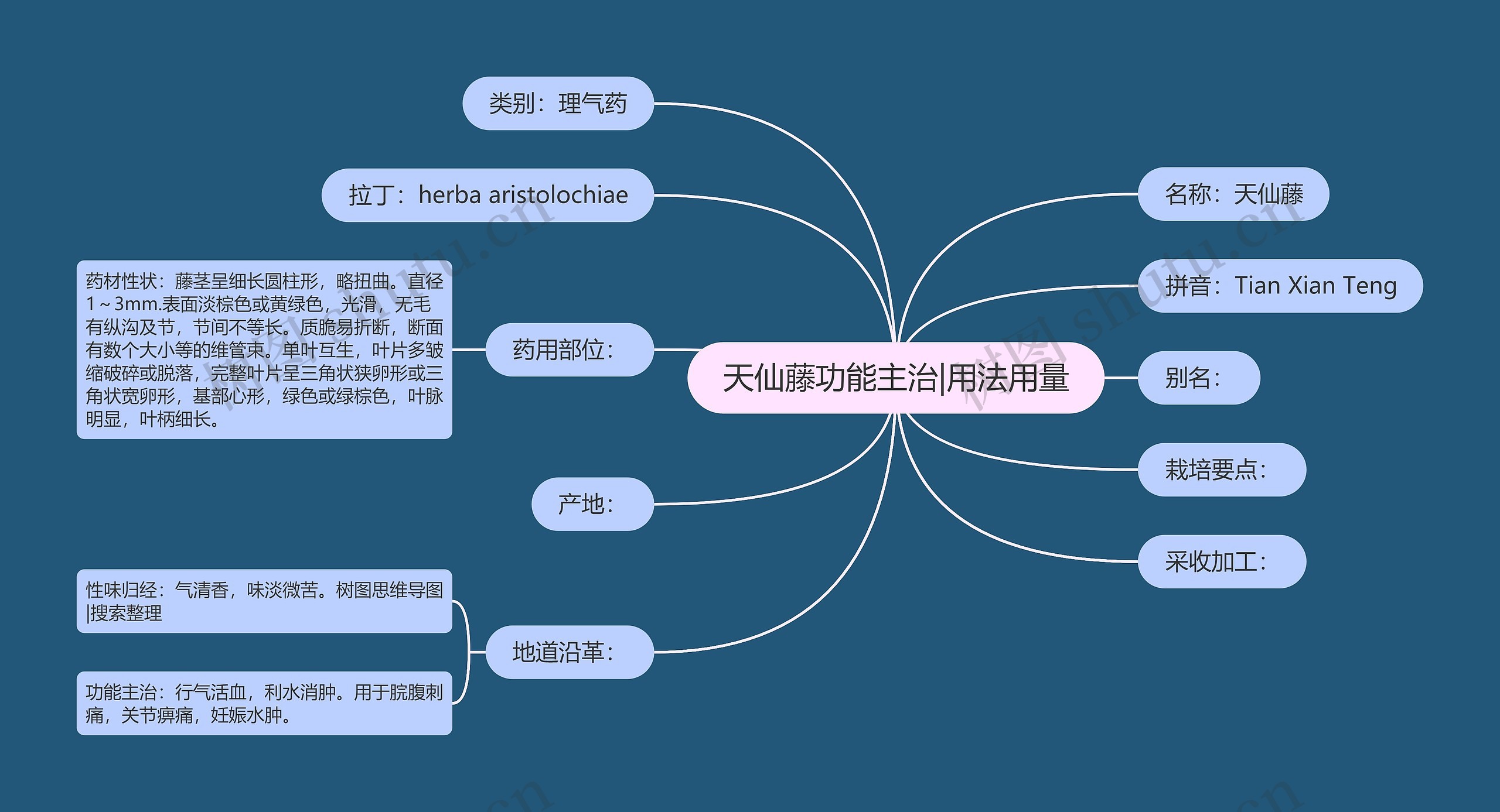 天仙藤功能主治|用法用量